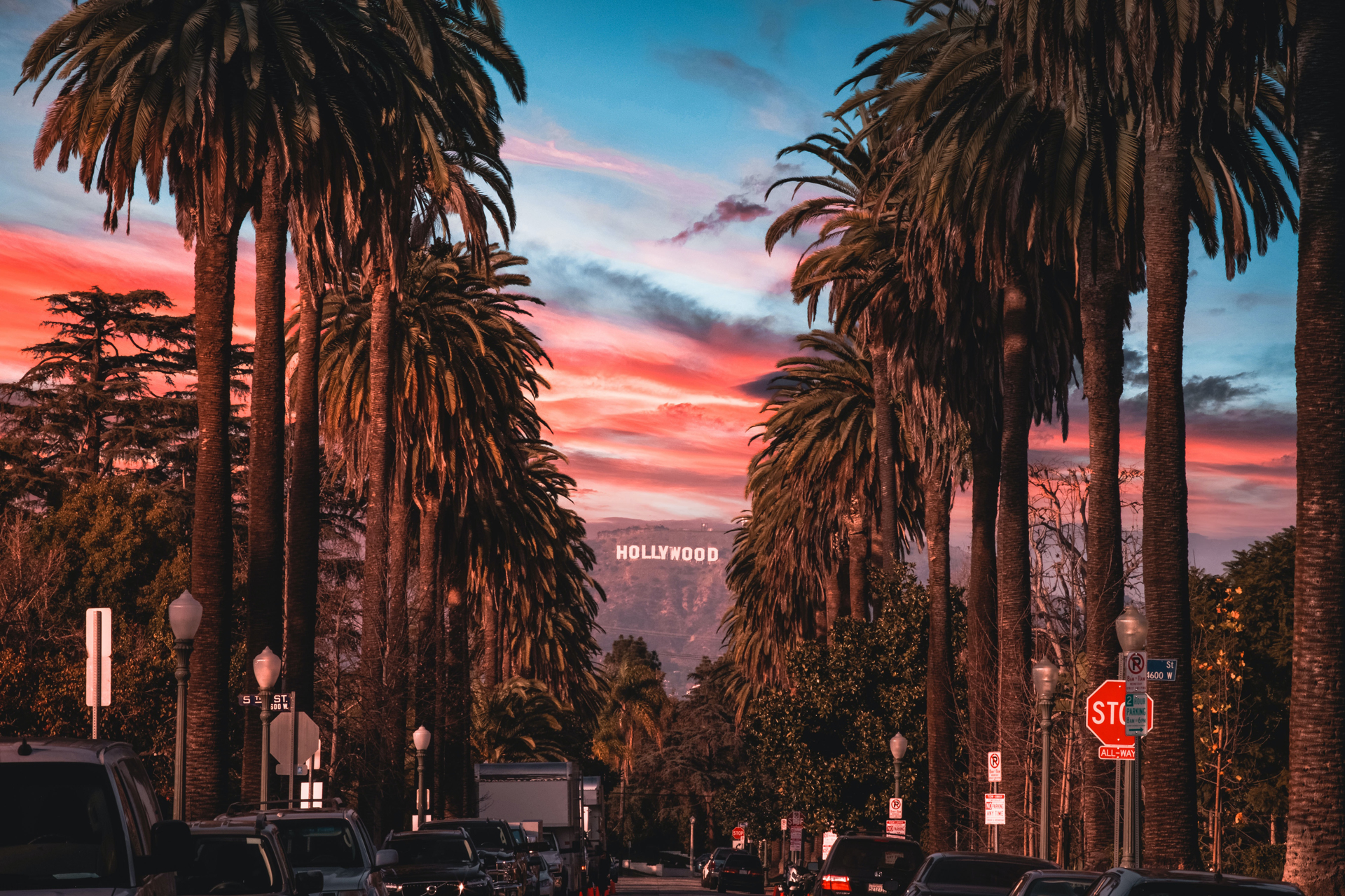 Looking down a road lined by cars and palm trees towards the Hollywood sign