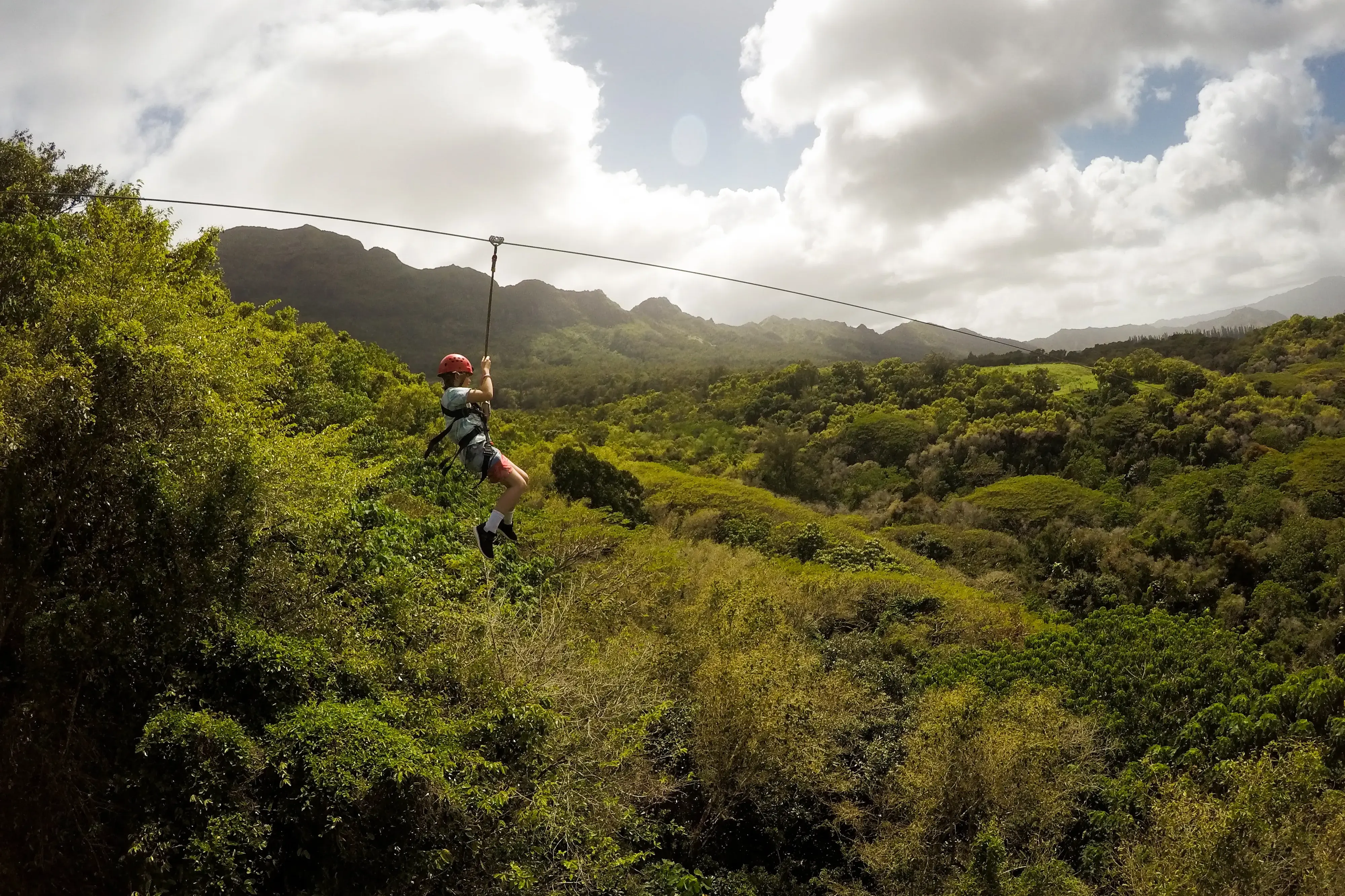 A person ziplining above a lush tree canopy