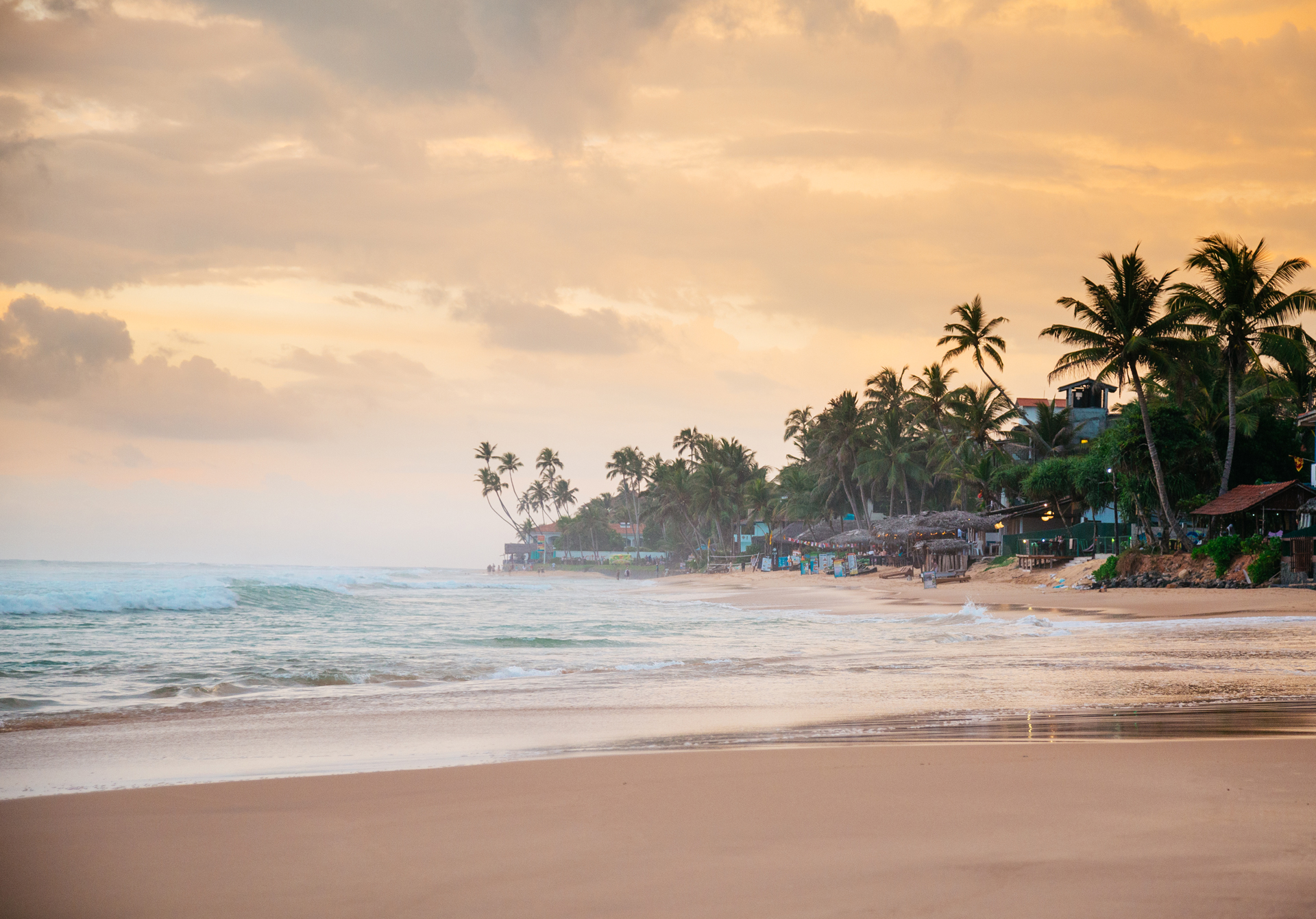 a beach with palm trees and buildings