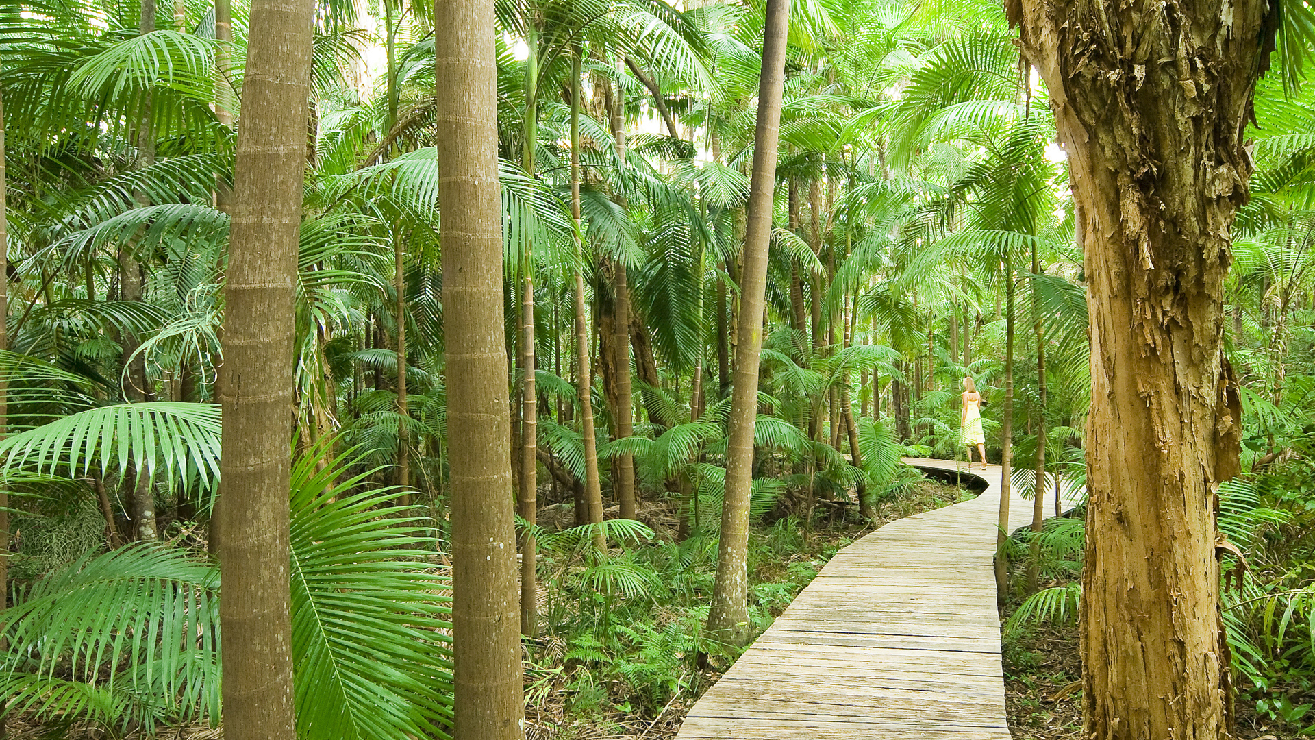 Worldwide, Australia, The byron at byron bay resort & spa, Exterior