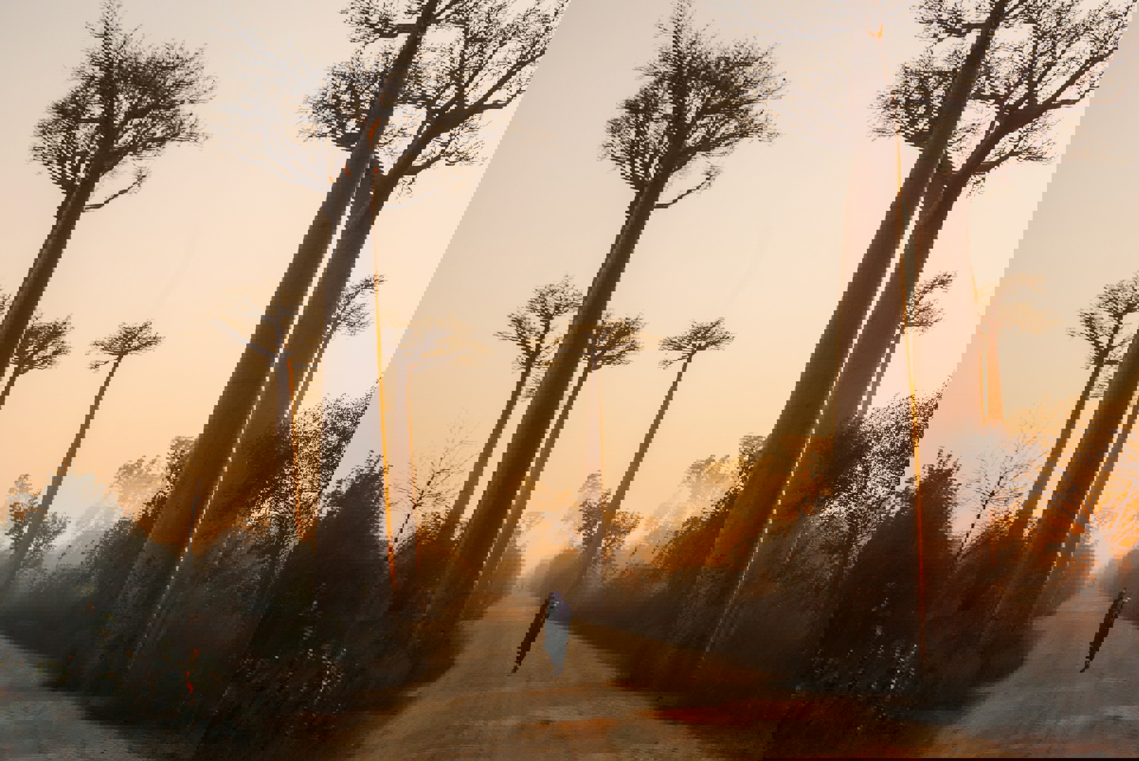 Umbraco.Cms.Core.Models.MediaWithCrops`1[Umbraco.Cms.Web.Common.PublishedModels.Image]