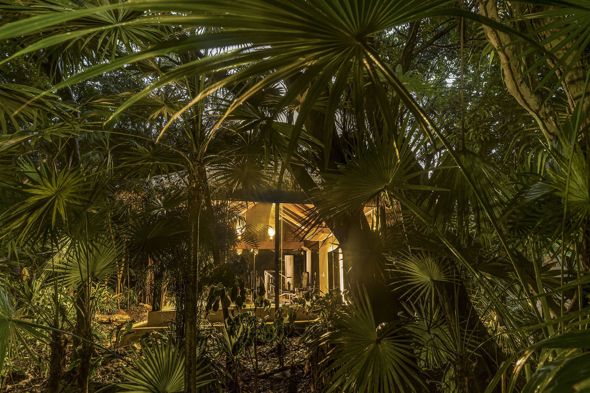 Viceroy Riviera Maya