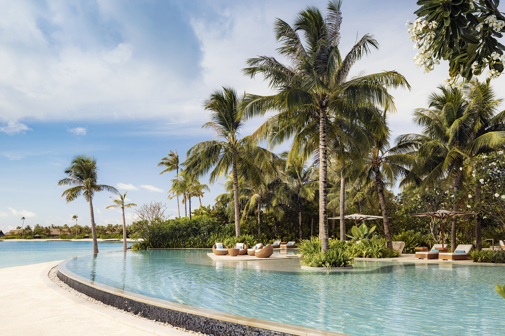 Lagoon pool with sun loungers flanked by tall palm trees 