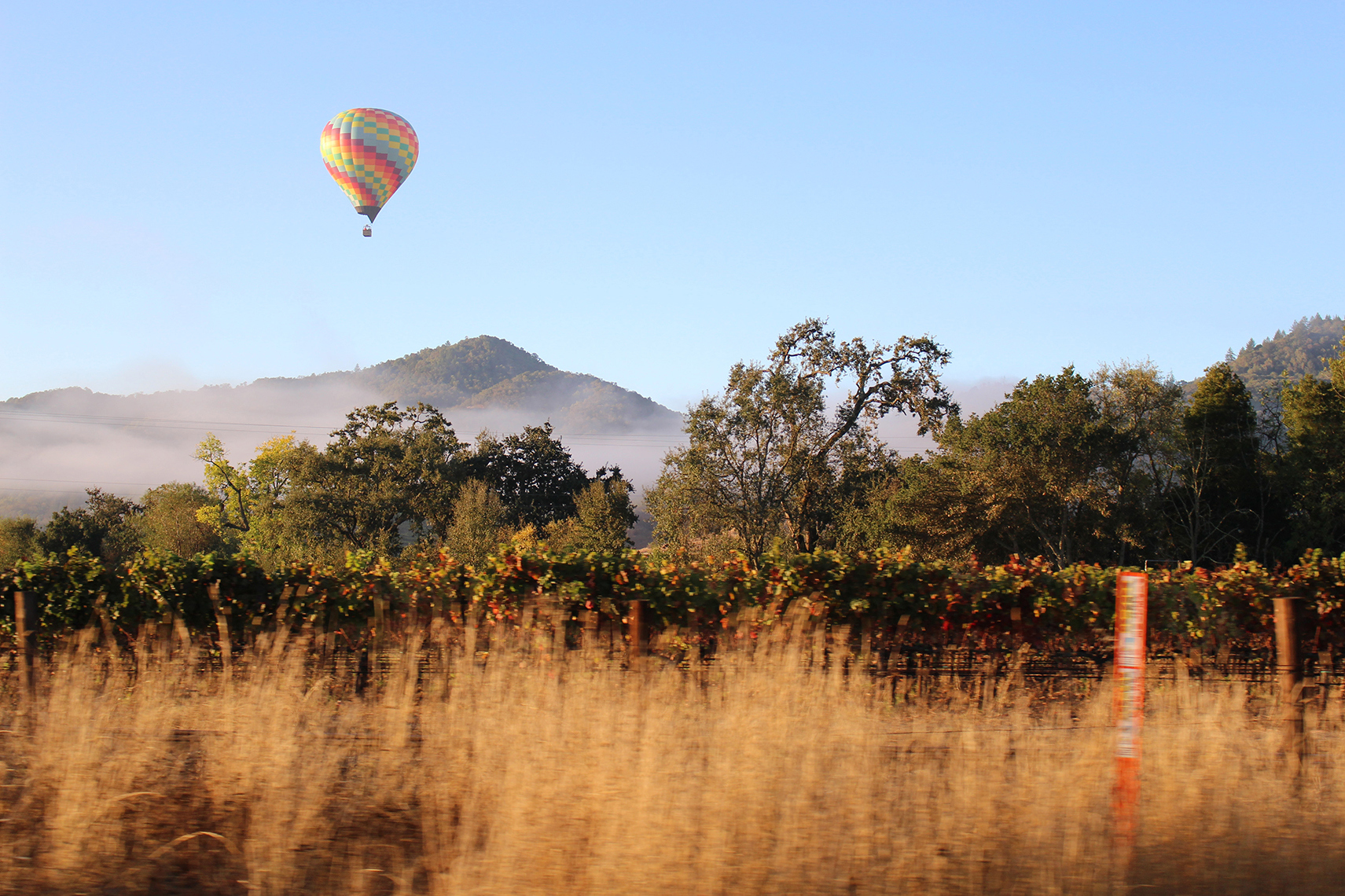 Hot air balloon over California vineyards at sunrise