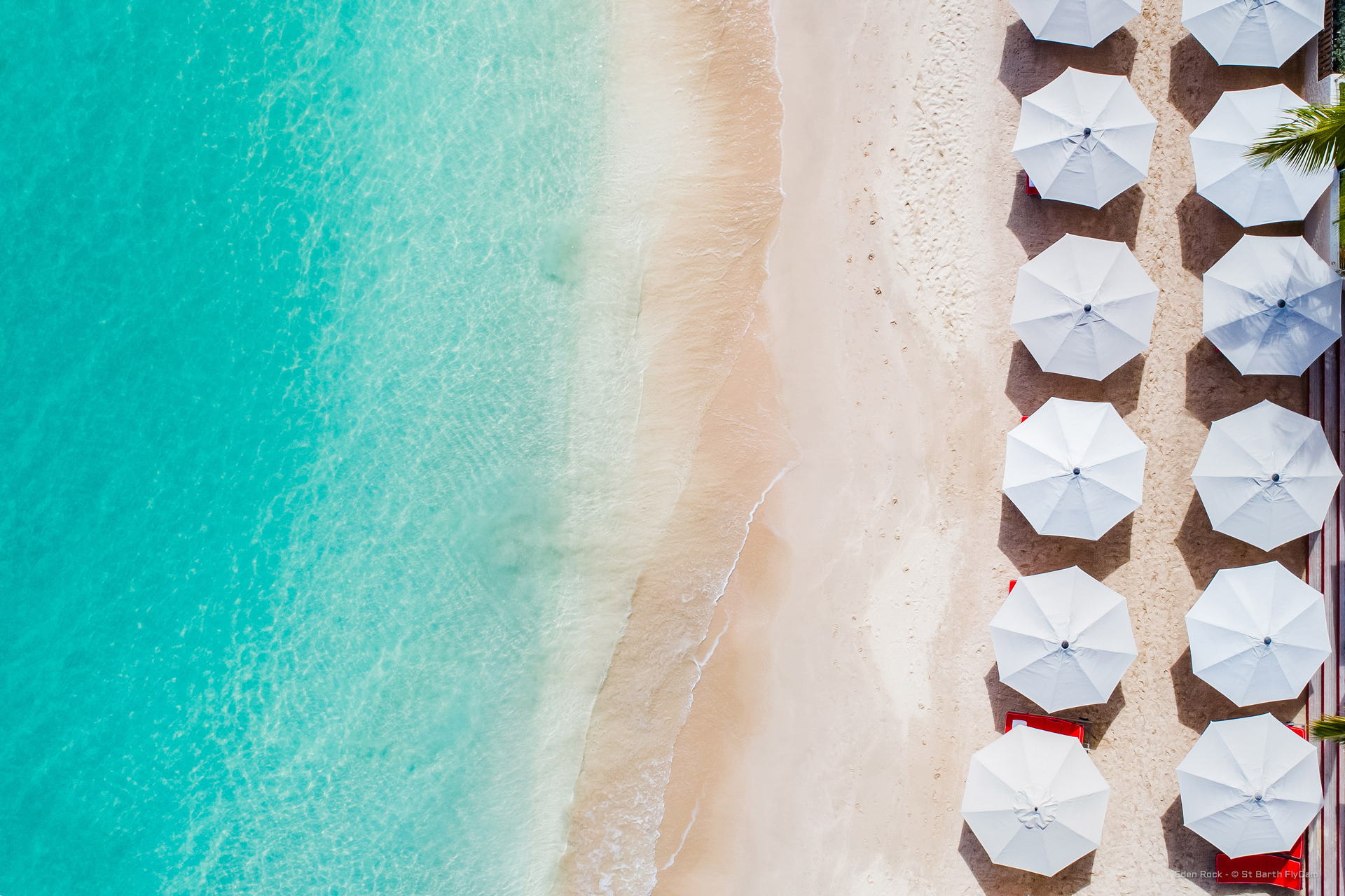 An aerial view of a beach lined up umbrellas