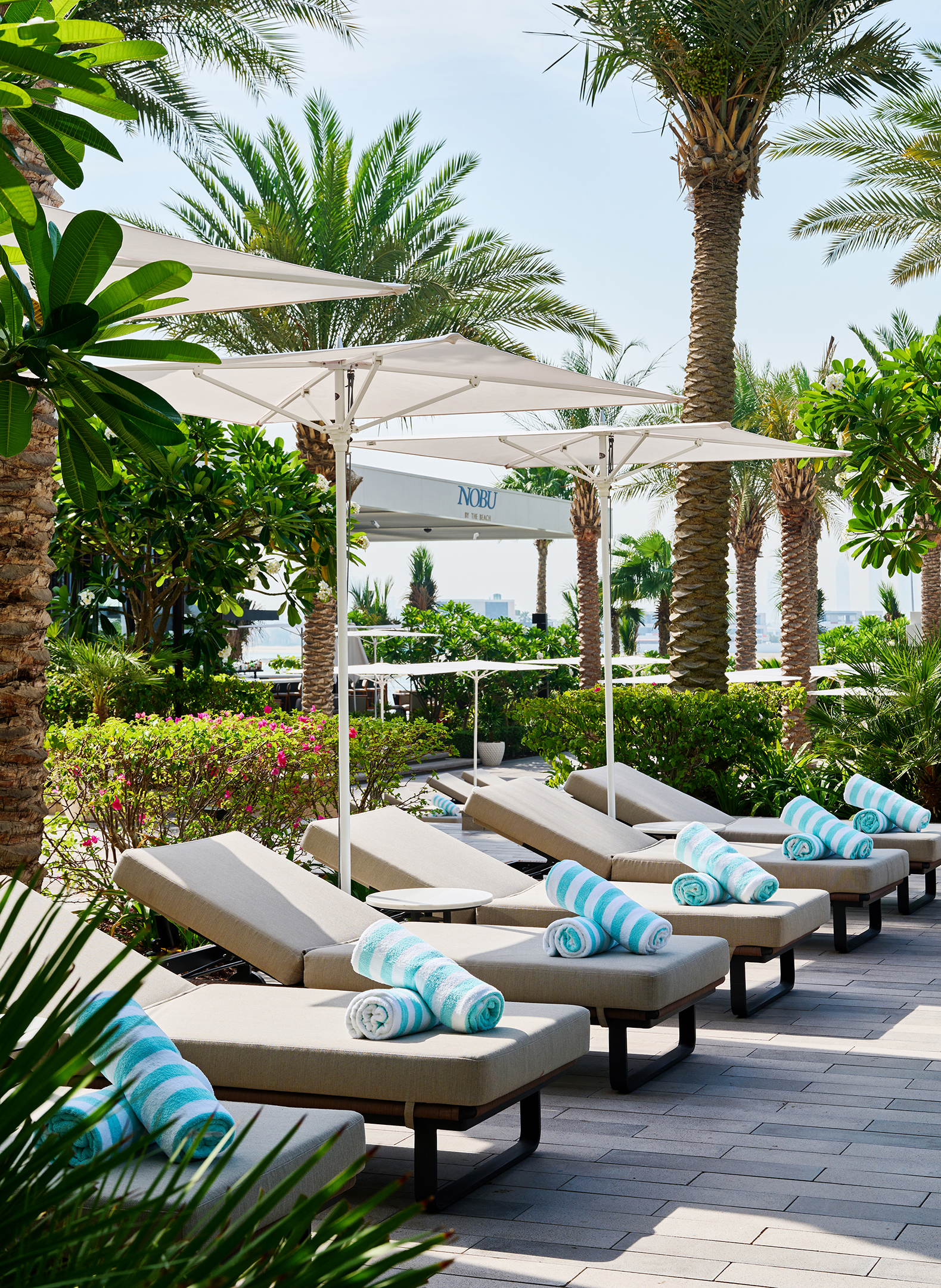 Indian Ocean & Arabia, Dubai, Atlantis The Royal, Pool Loungers