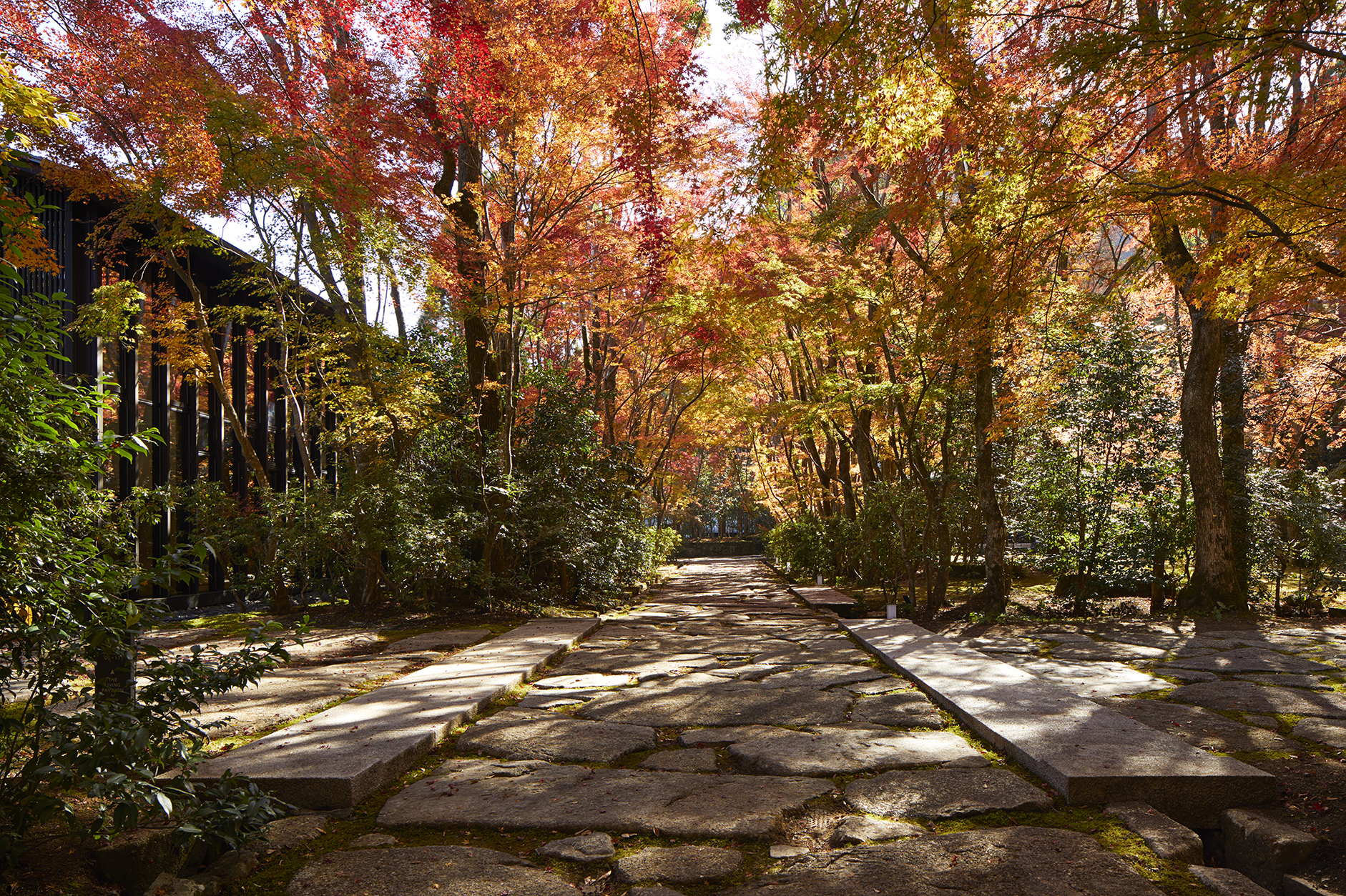 The gardens of Aman Kyoto during autumn featuring trees in shades of red and gold