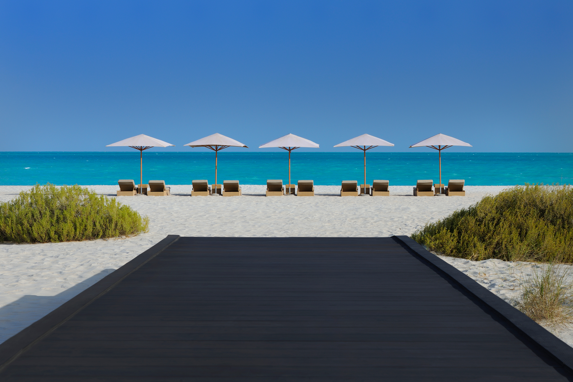 a beach with chairs and umbrellas