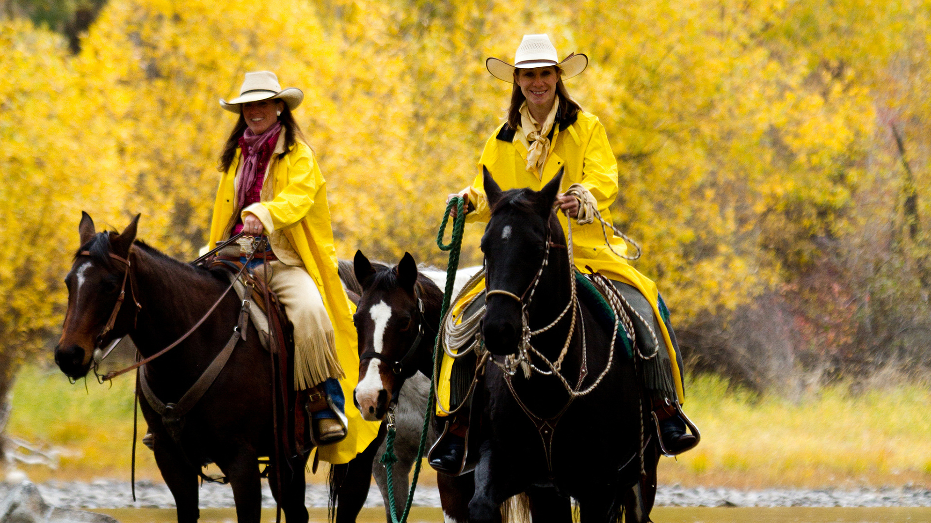  North America, Montana, Triple Creek Ranch, horse riding