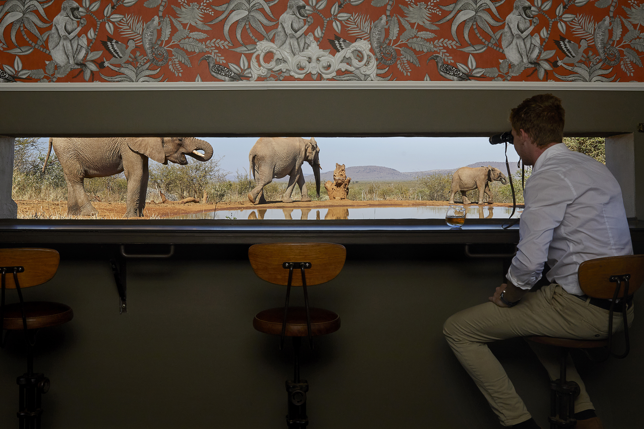 A man in a white shirt and cream trousers holding binoculars looking out of a narrow gap in the wall to a watering hole surrounded by elephants