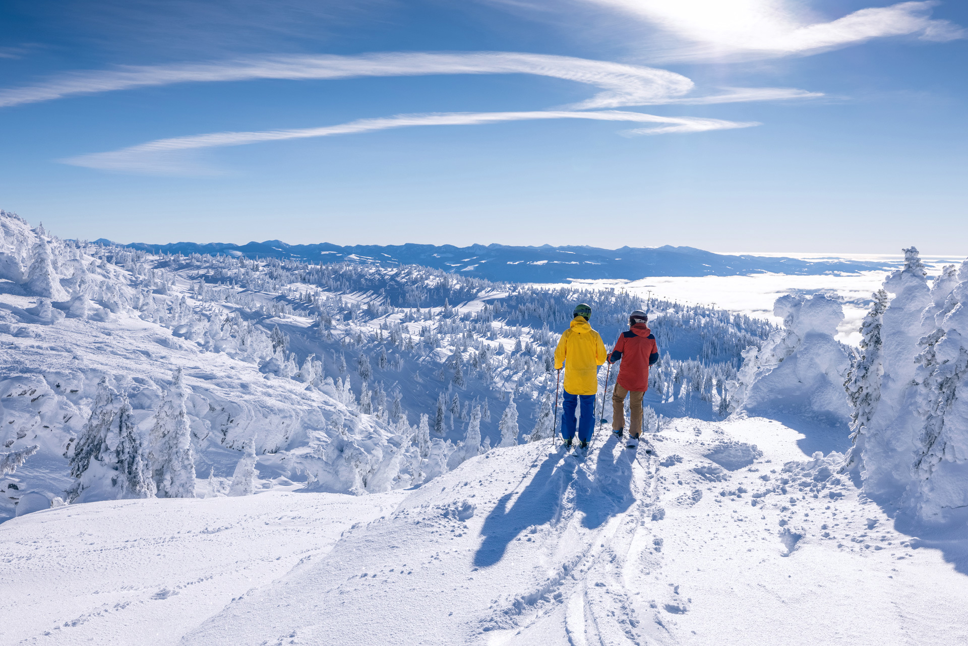 Two skiers stopped to look over a snowy landscape