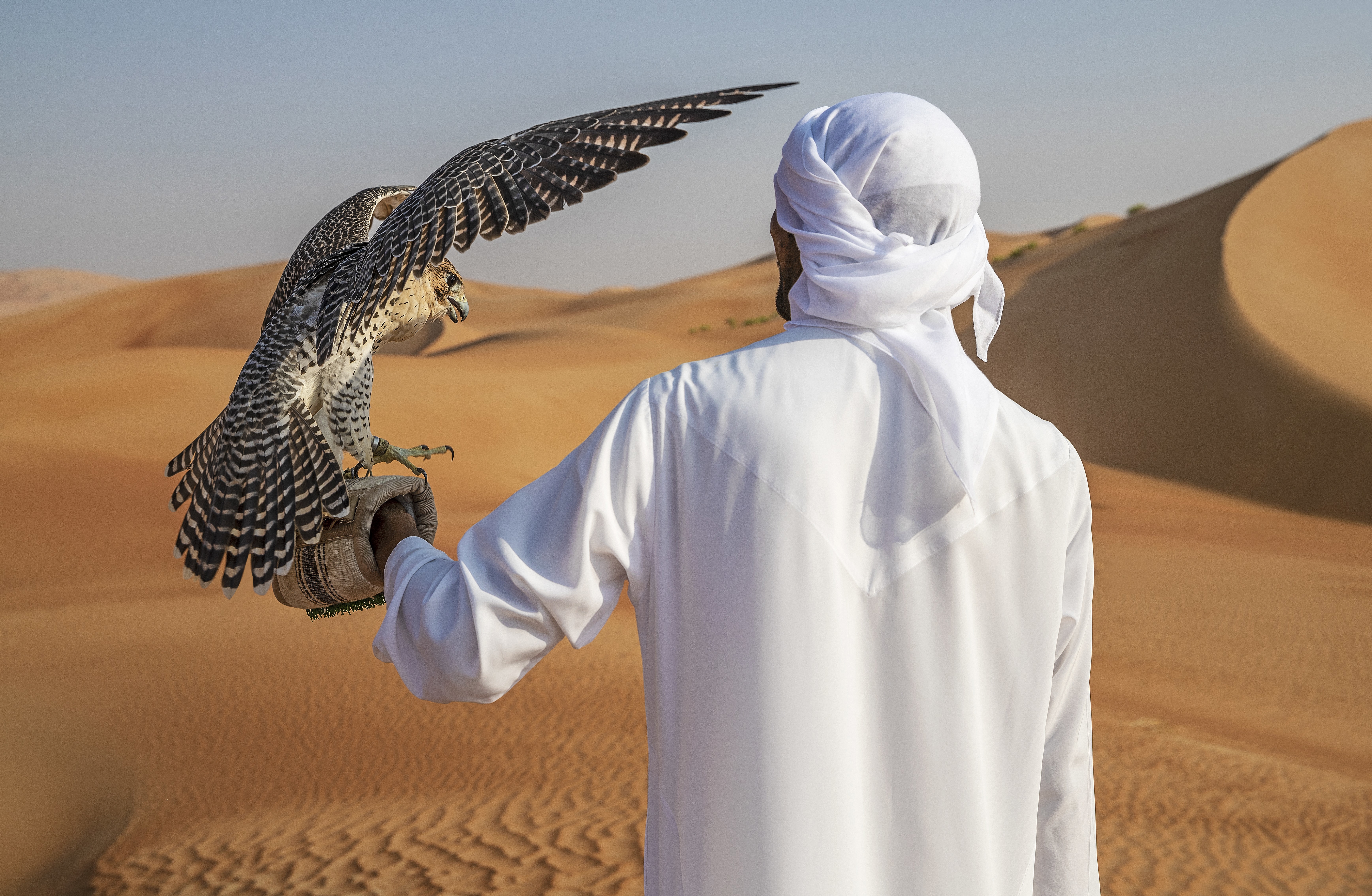 A man dressed in white holding a falcon amongst orange dunes
