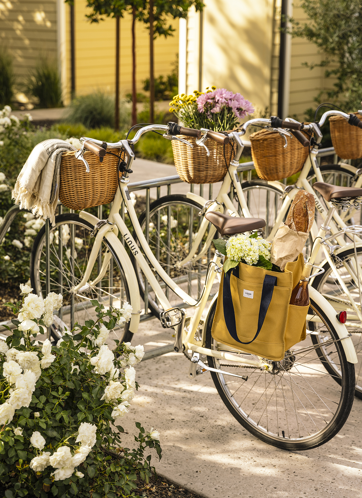 North America, USA, California, Solage Resorts Auberge Collection, Solage Bicycles 