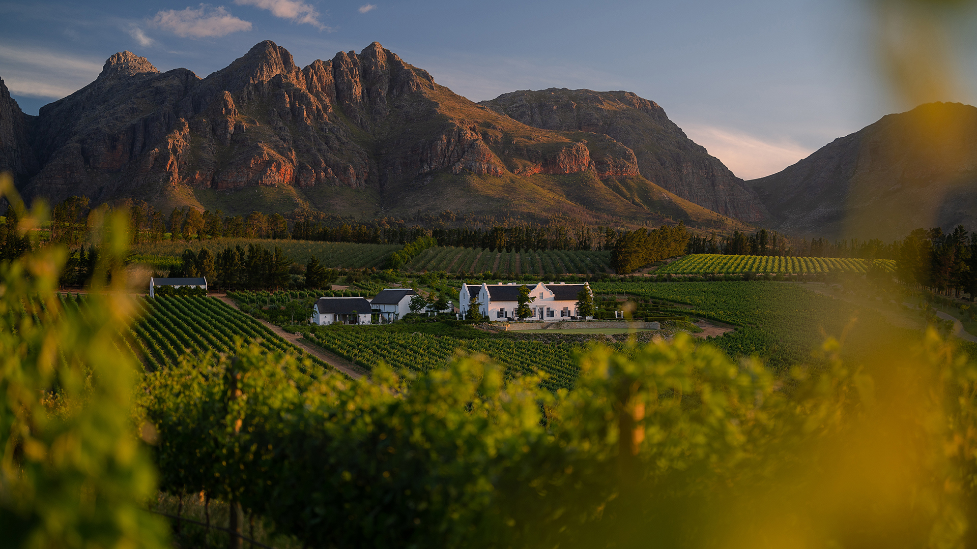 Africa, South Africa, Paarl, Brookdale Estate, View