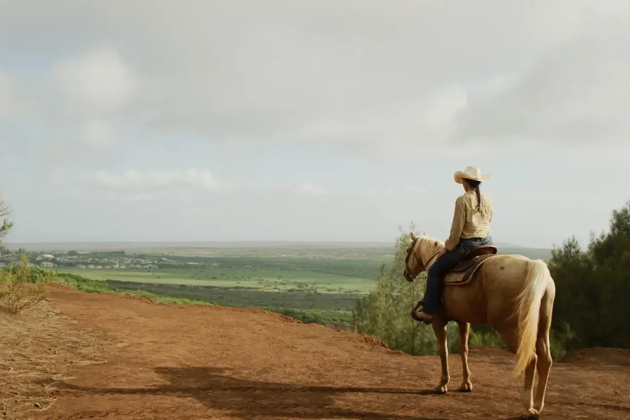 A person upon a white horse looking out across a vast and flat landscape with a glimpse of a town beyond