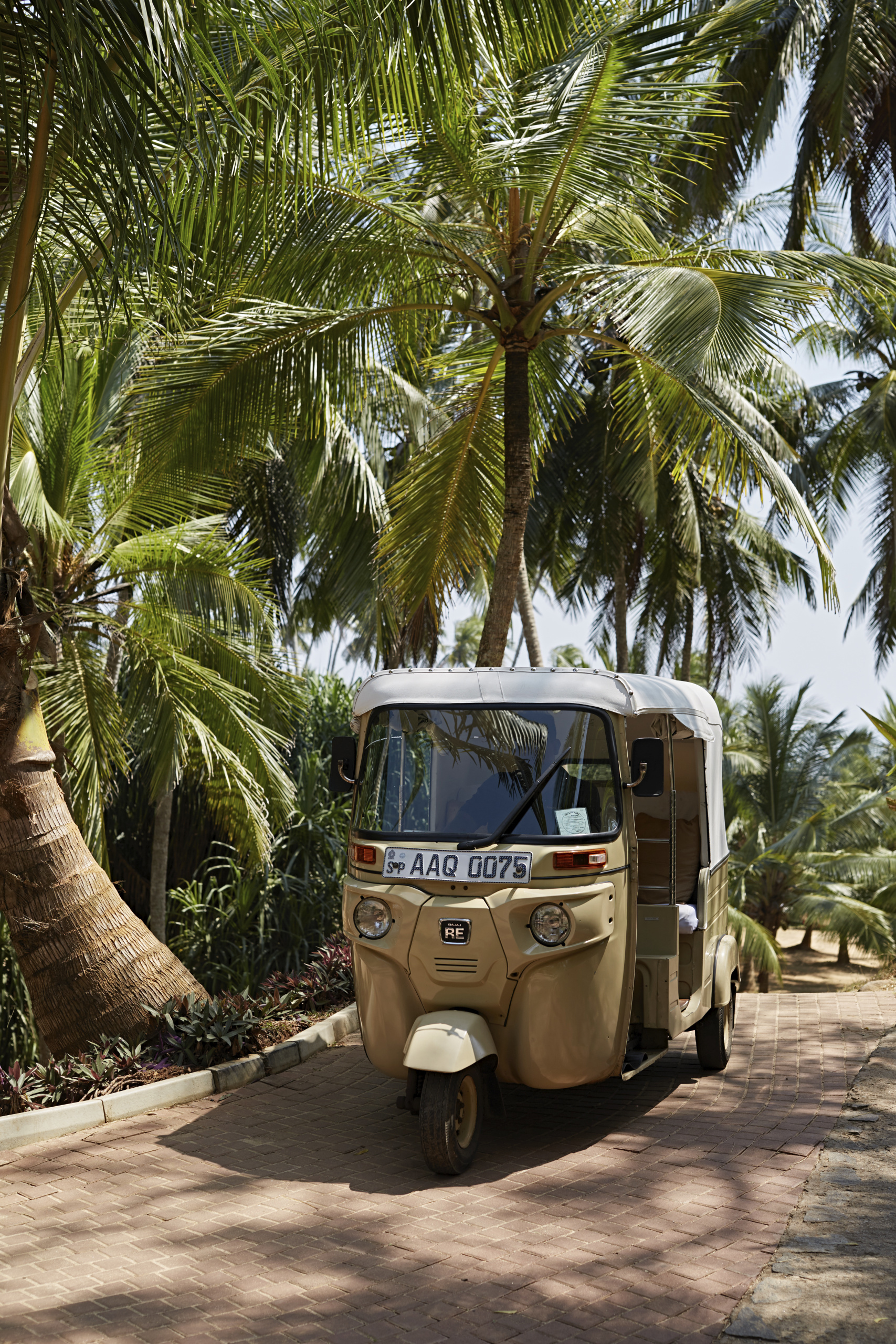 Cream tuk tuk parked on a driveway beneath green palm trees