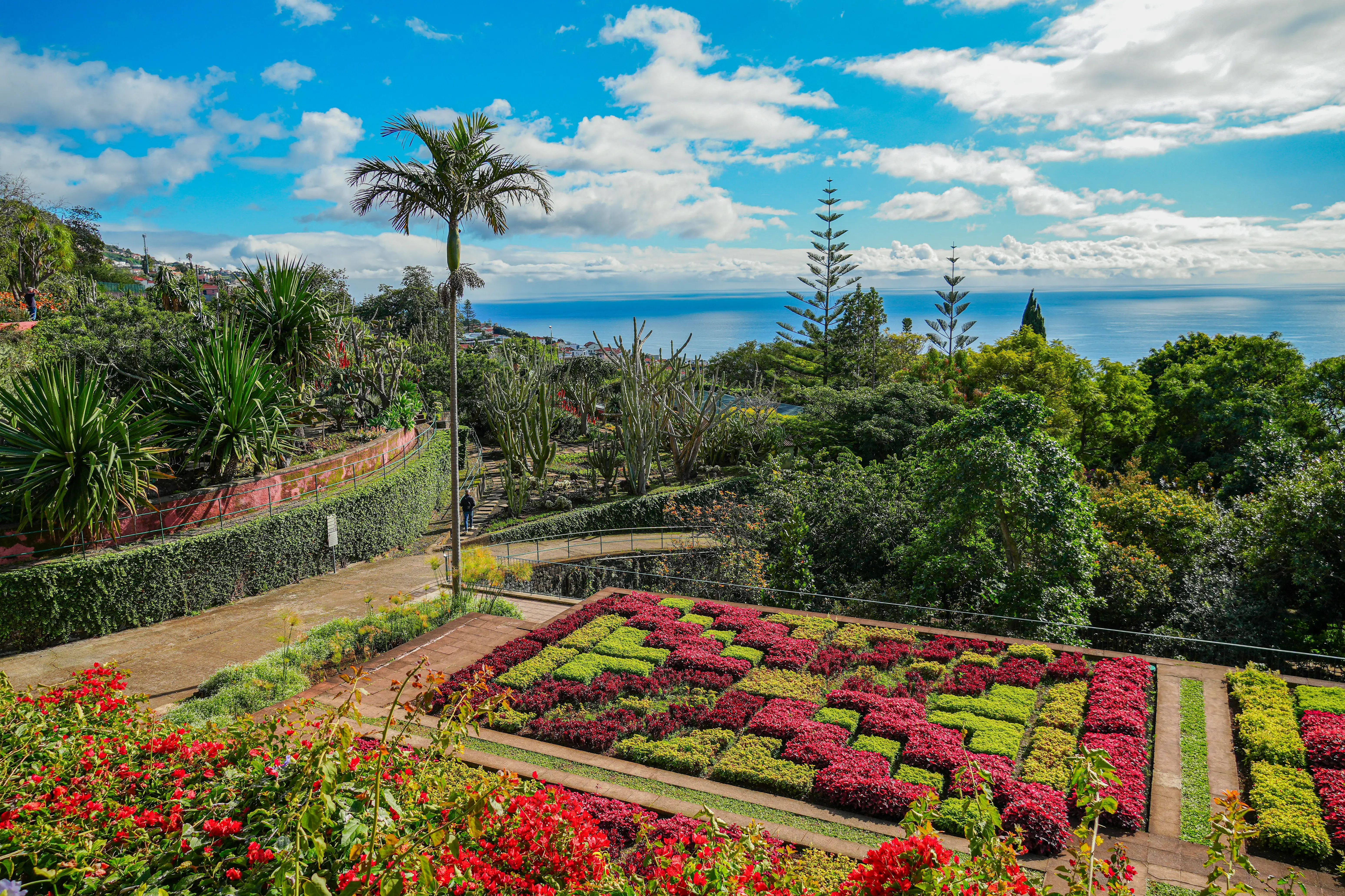 Colourful botanical gardens in full bloom in Funchal, Madeira.