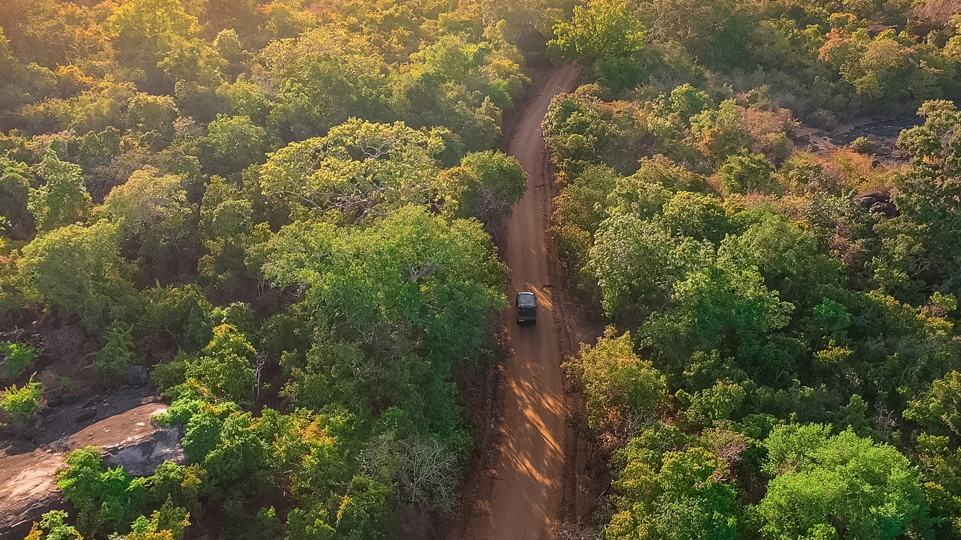 Birds eye view of a safari jeep driving over a dirt track through a jungle