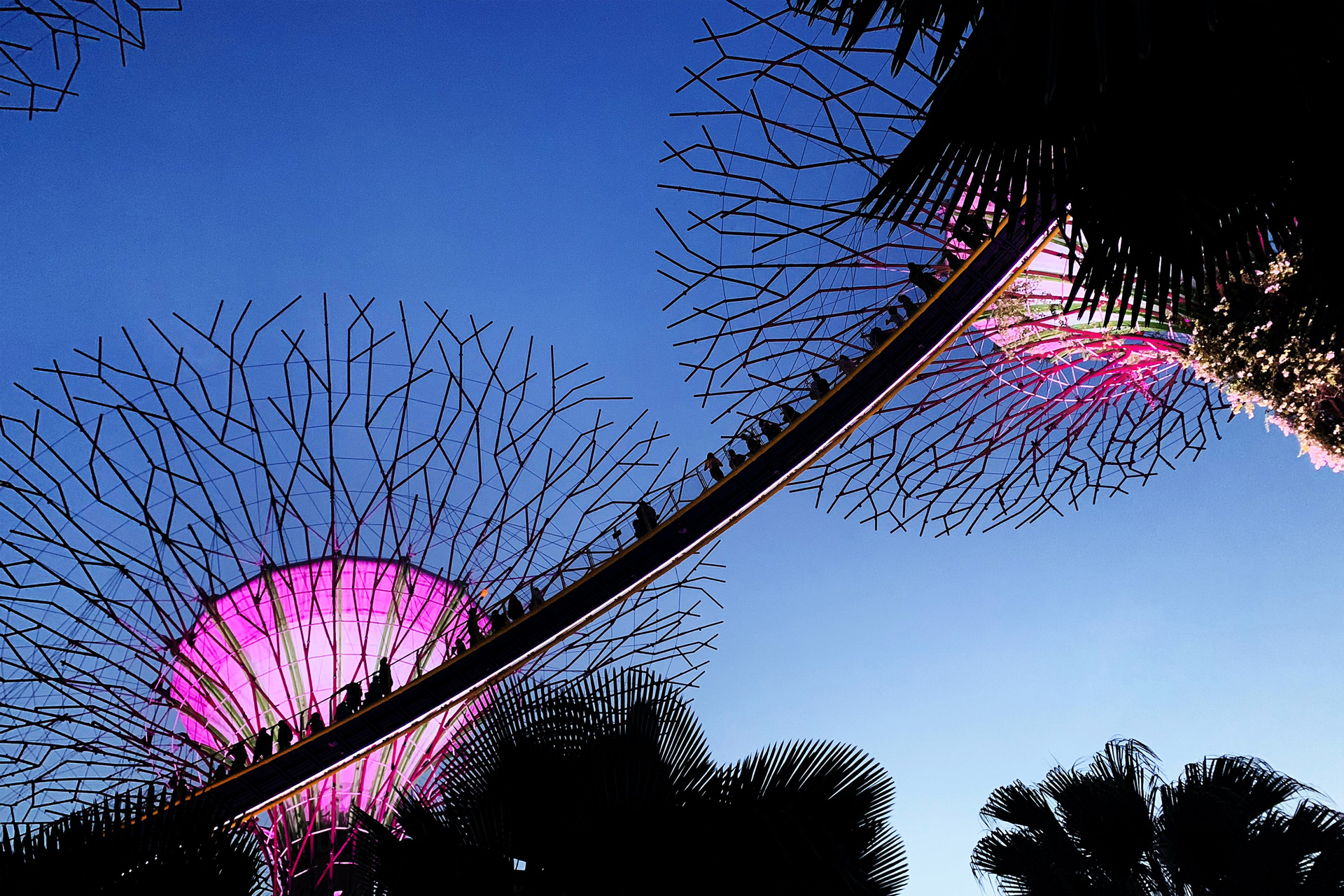 Looking up at a walkway bridge with people crossing at Singapore airport