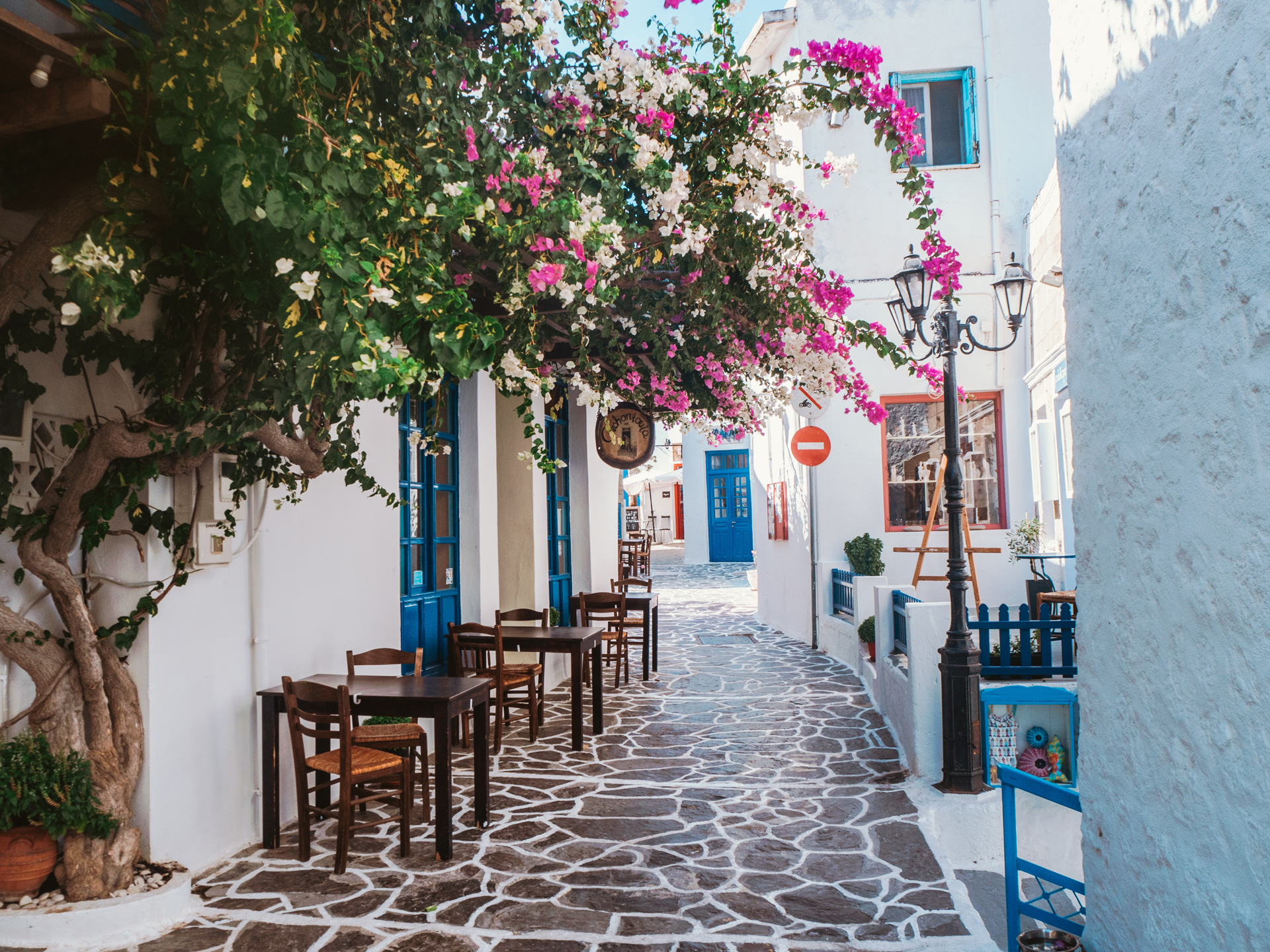 A small Greek street with white buildings and a pink flower tree