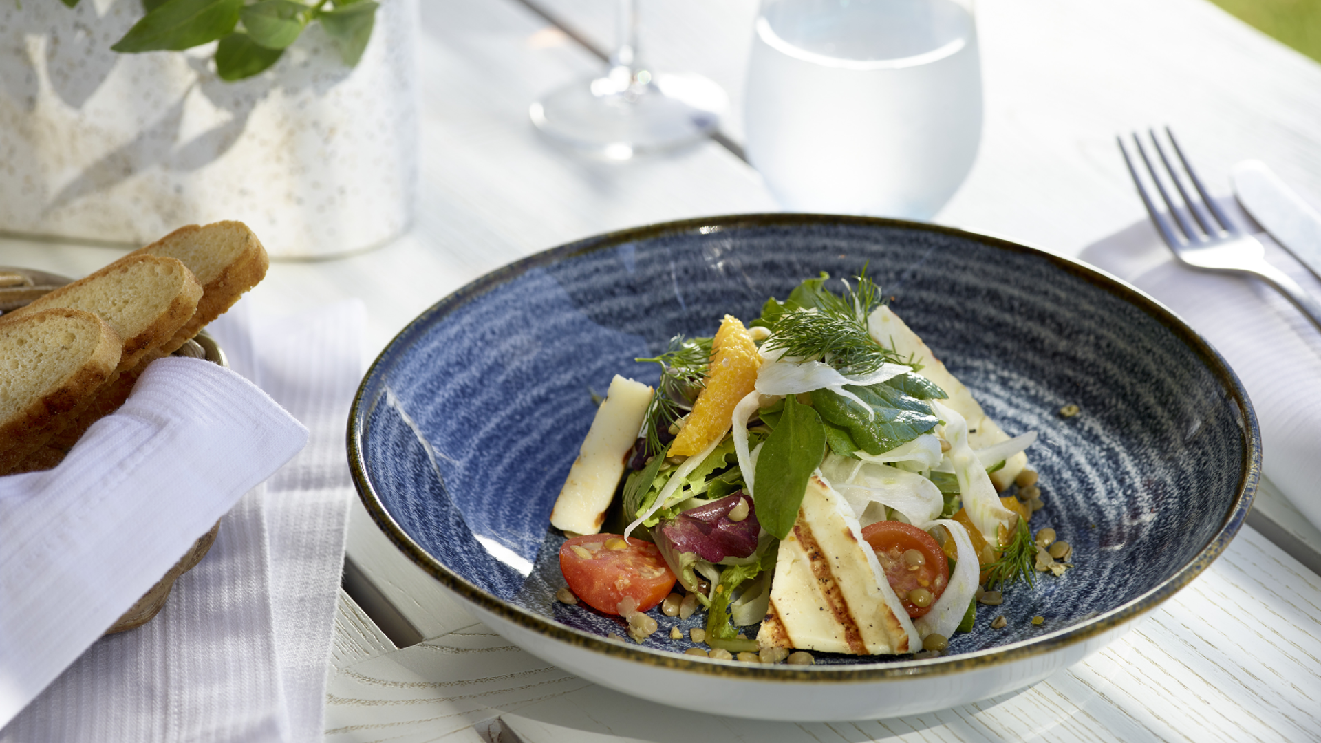 Europe, Greece, Kos, Ikos Aria, Grilled cheese salad