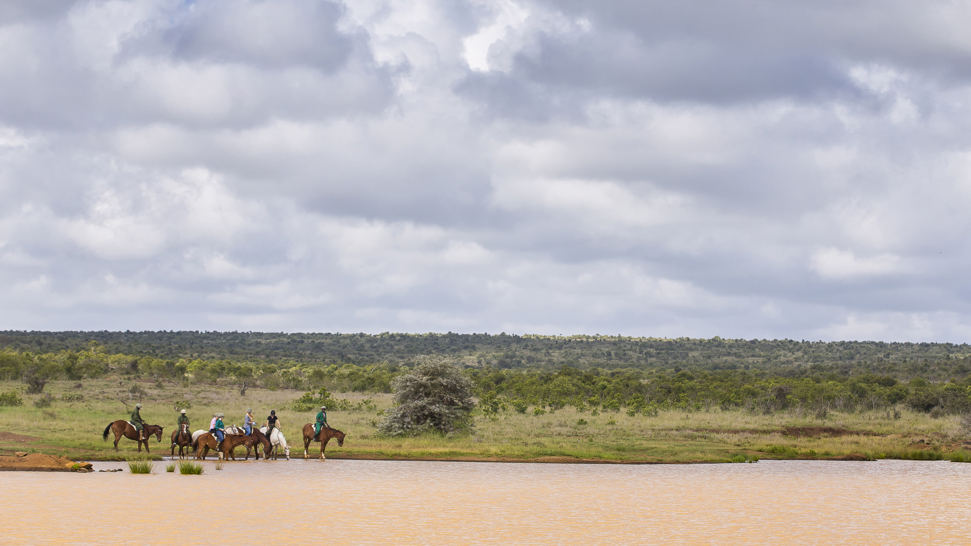 Group horse riding in the Loisaba Conservancy 