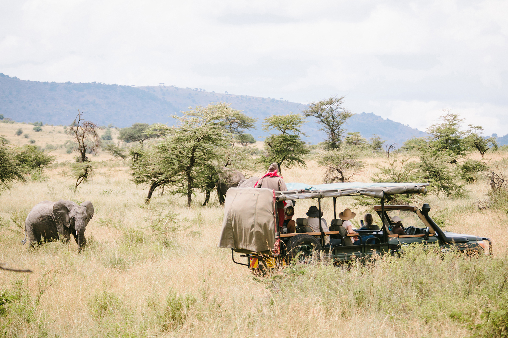 Safari car stopping to look at an elephant in the Kenyan savanna
