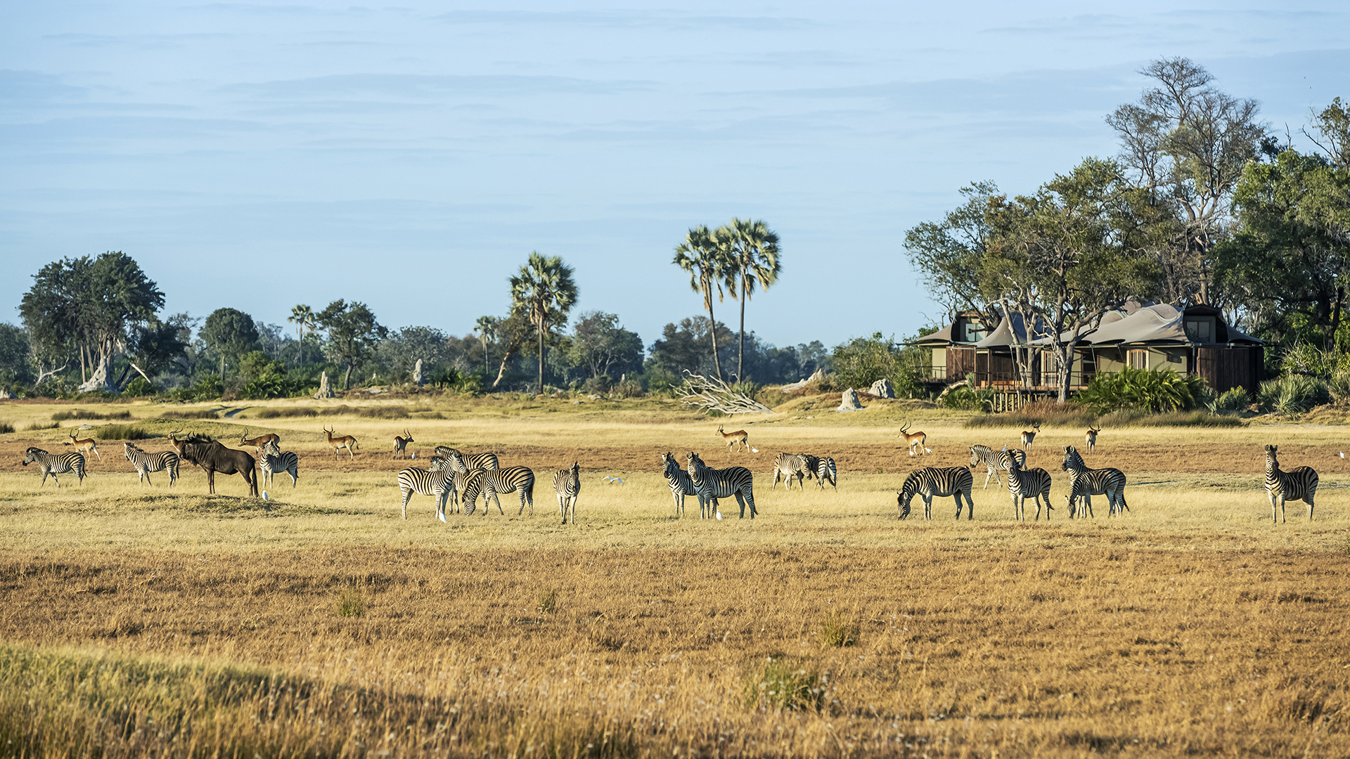  Africa, Botswana, Xigera, Wildlife