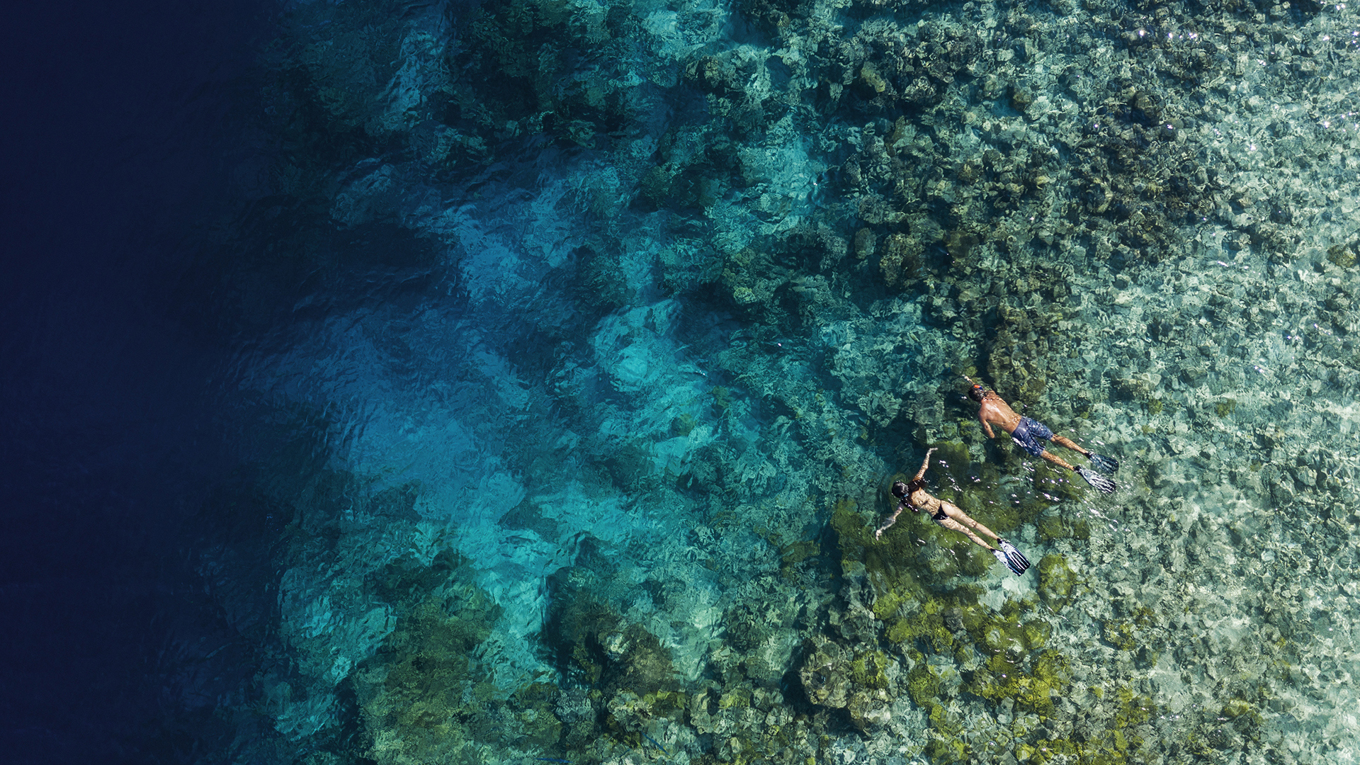 Indian Ocean, Maldives, Waldorf Astoria Ithaafushi Private Island, Snorkeling 