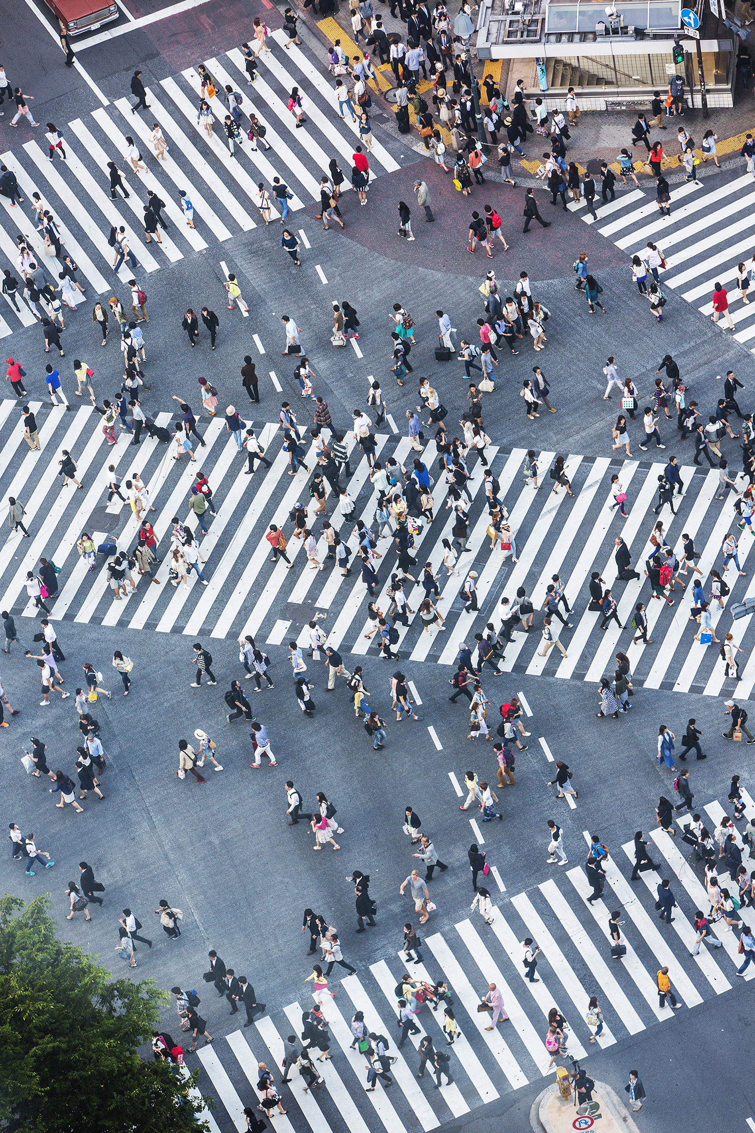A flurry of people crossing Tokyo's famous Shibuya Scramble Crossing