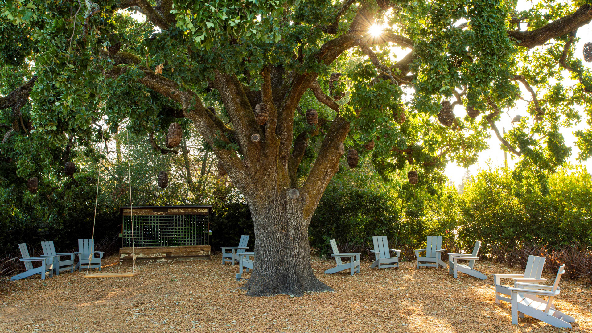 USA & Canada, California, Sonoma, The Lodge at Sonoma, Heritage oak