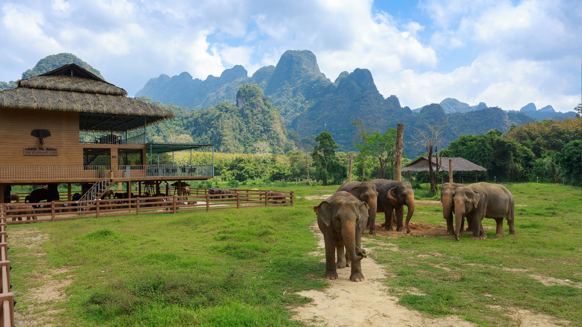 Elephant Hills, Thailand, Elephant Experience