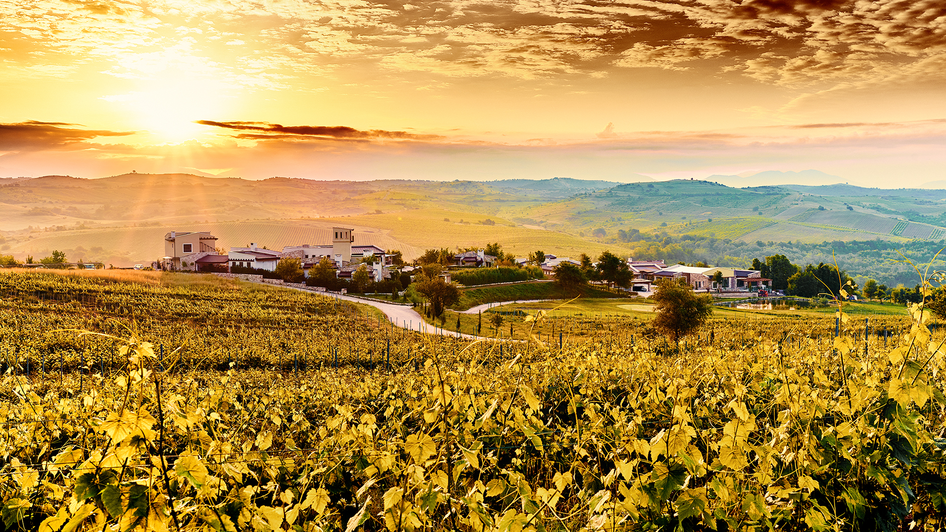 Zornitza Family Estate