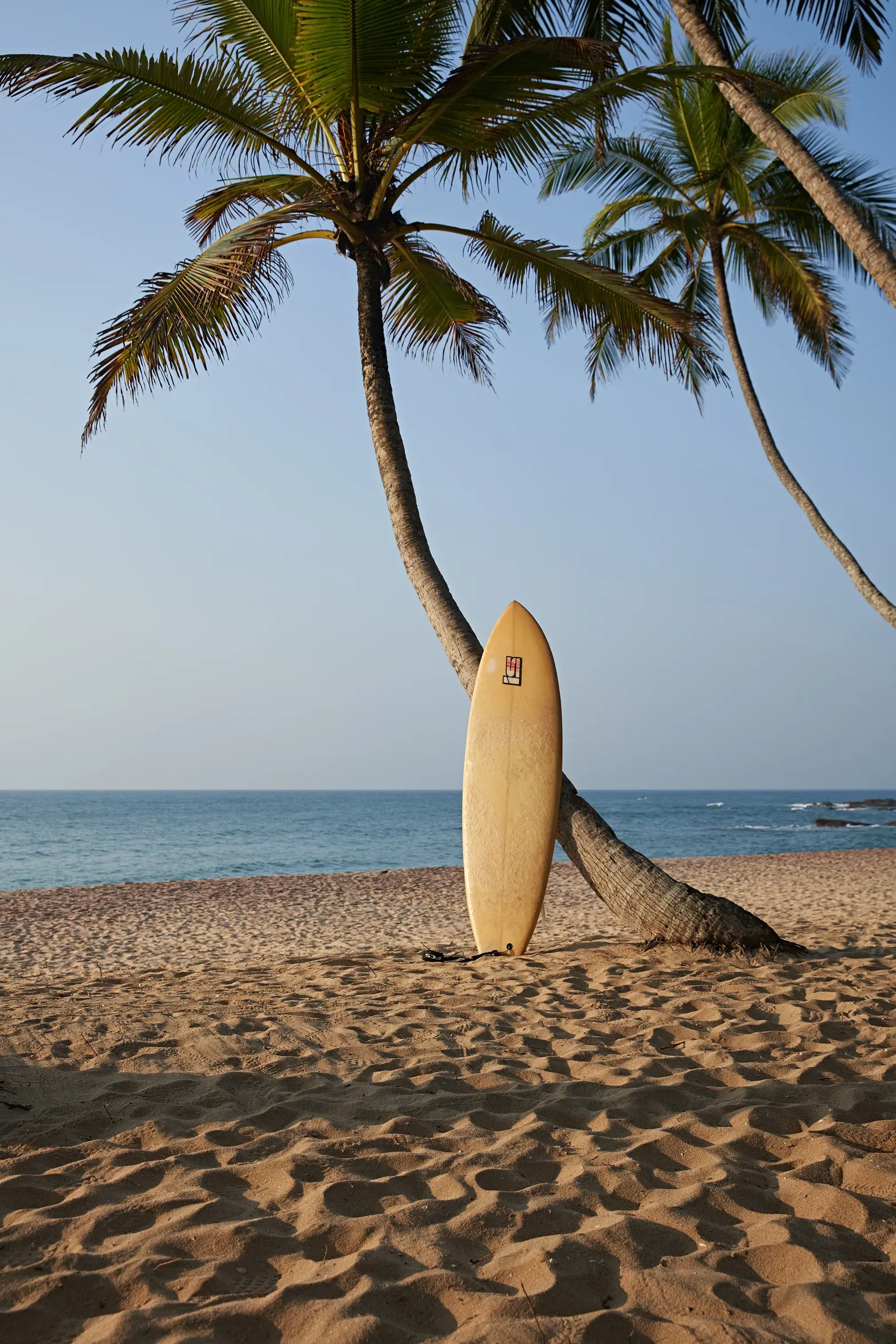 Surfboard leaning against a palm tree on a sandy beach at Amanwella Sri Lanka, overlooking calm blue ocean under clear skies.