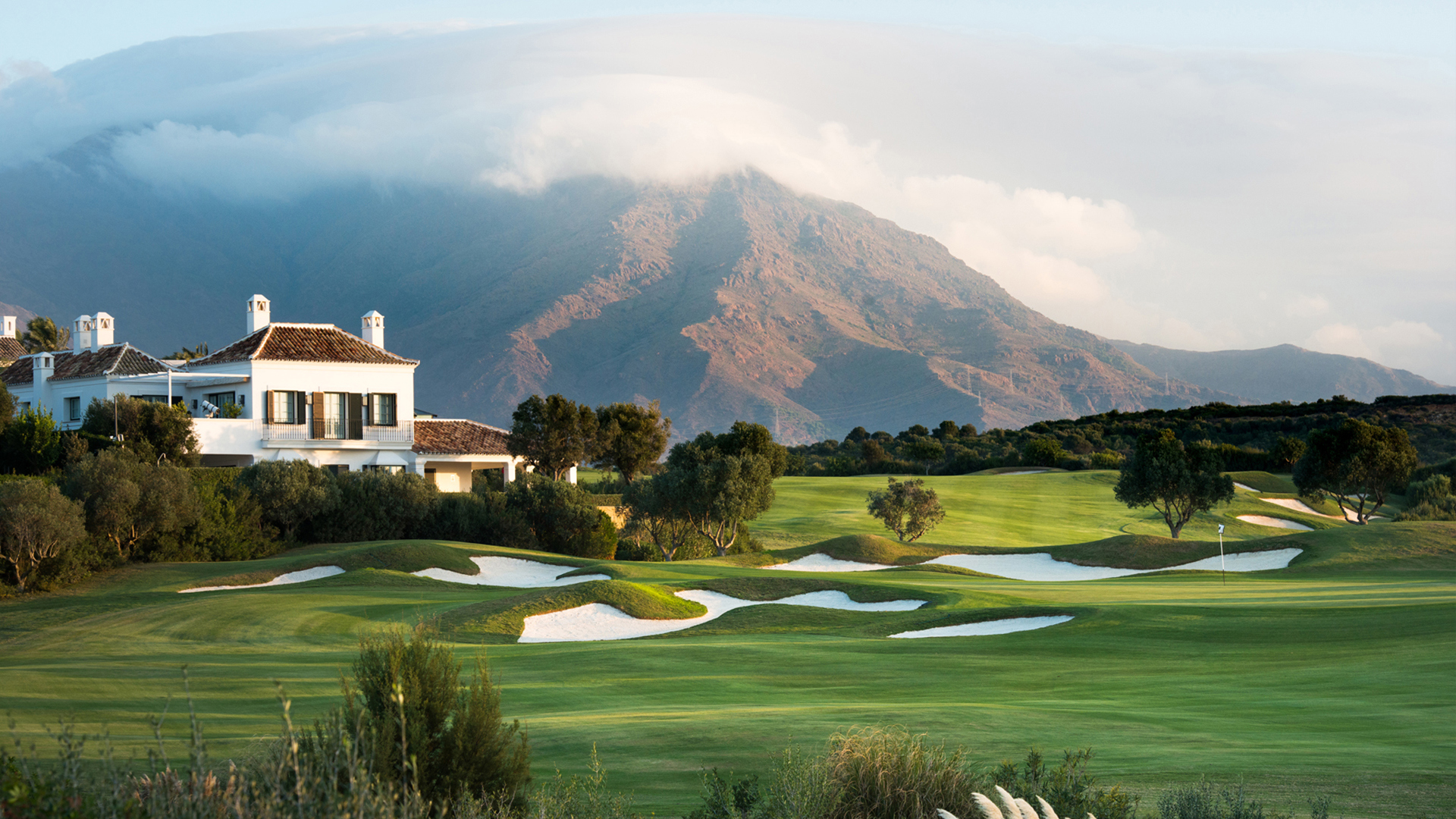 Umbraco.Cms.Core.Models.MediaWithCrops`1[Umbraco.Cms.Web.Common.PublishedModels.Image]