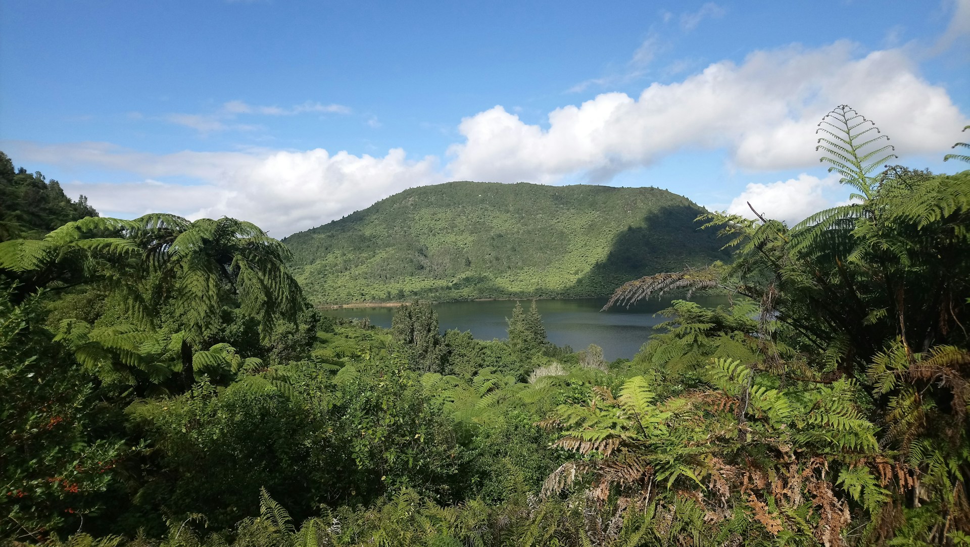 A lush green landscape with a lake surrounded by dense vegetation and a hill in the background under a partly cloudy sky.