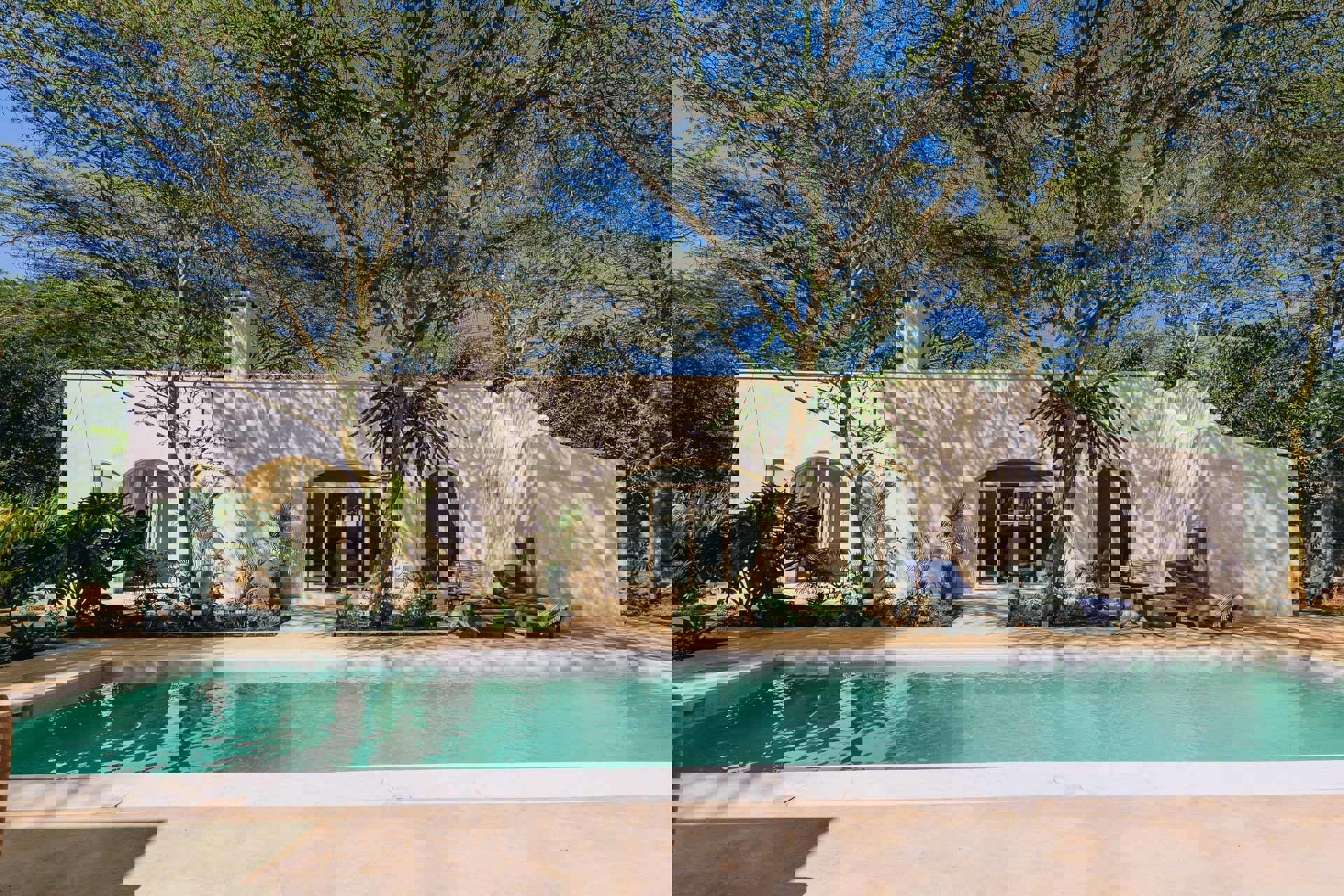 A whitewashed building at Manzili House shaded by trees with a pool and sun loungers in front