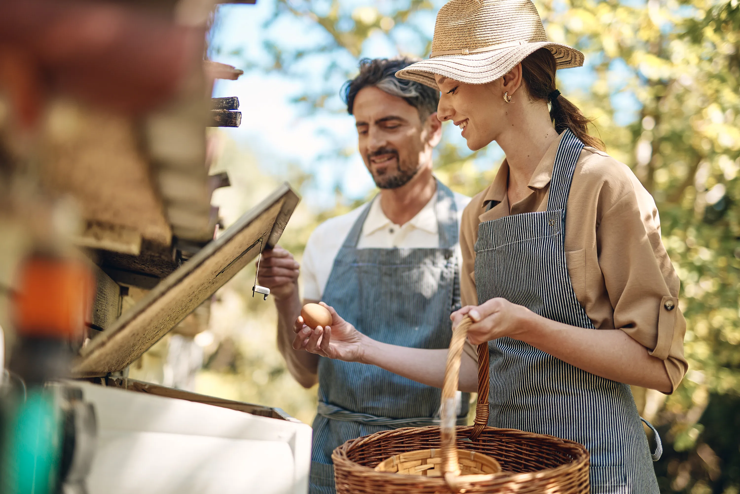 Two people collecting eggs from wooden crates with a woven basket