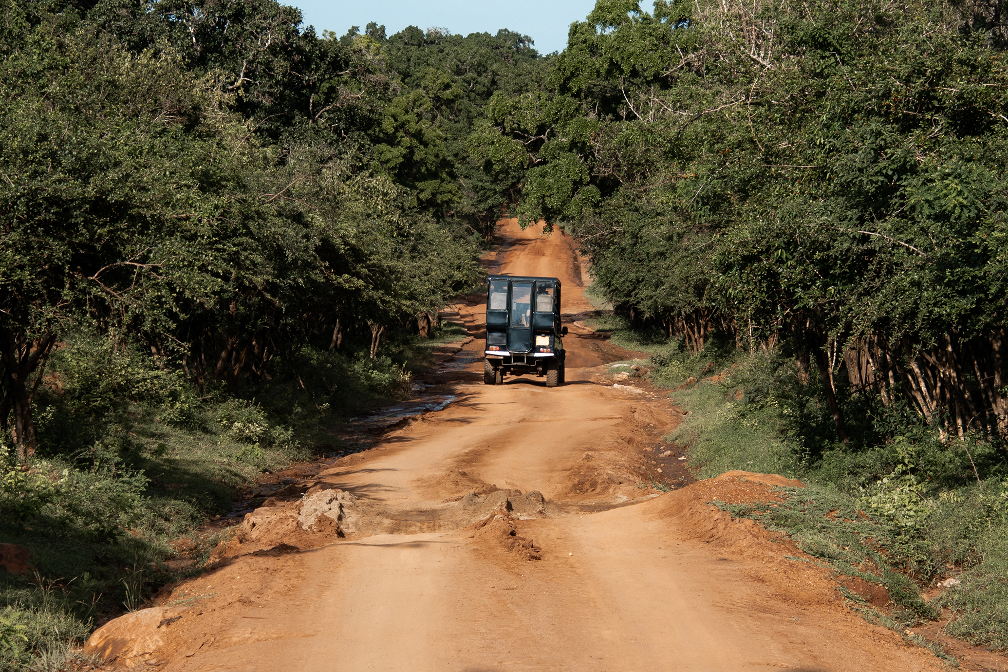 Safari jeep driving away down a red dusty track through green jungle