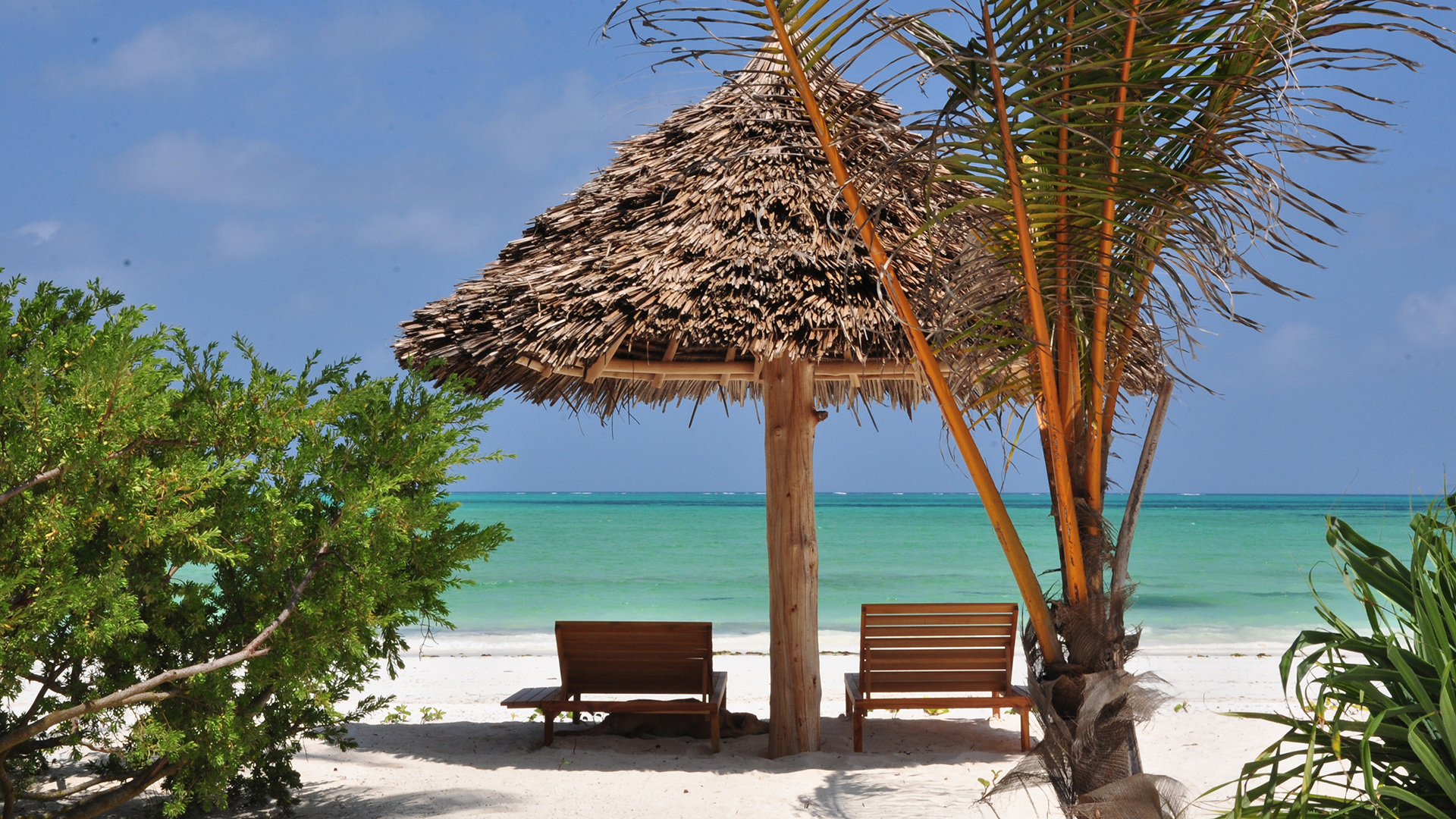  Africa, Zanzibar, White Sand, Lounge chairs 