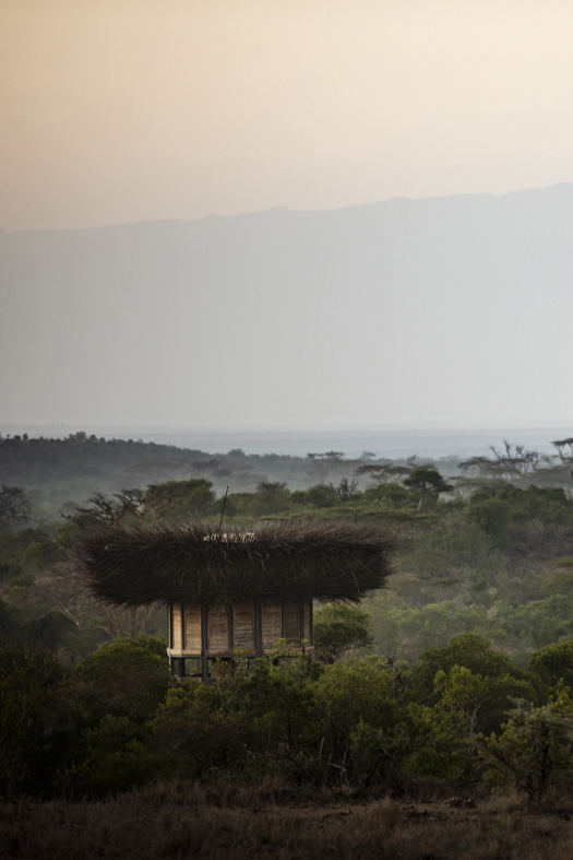 A landscape with a bird nest shaped building among greenery