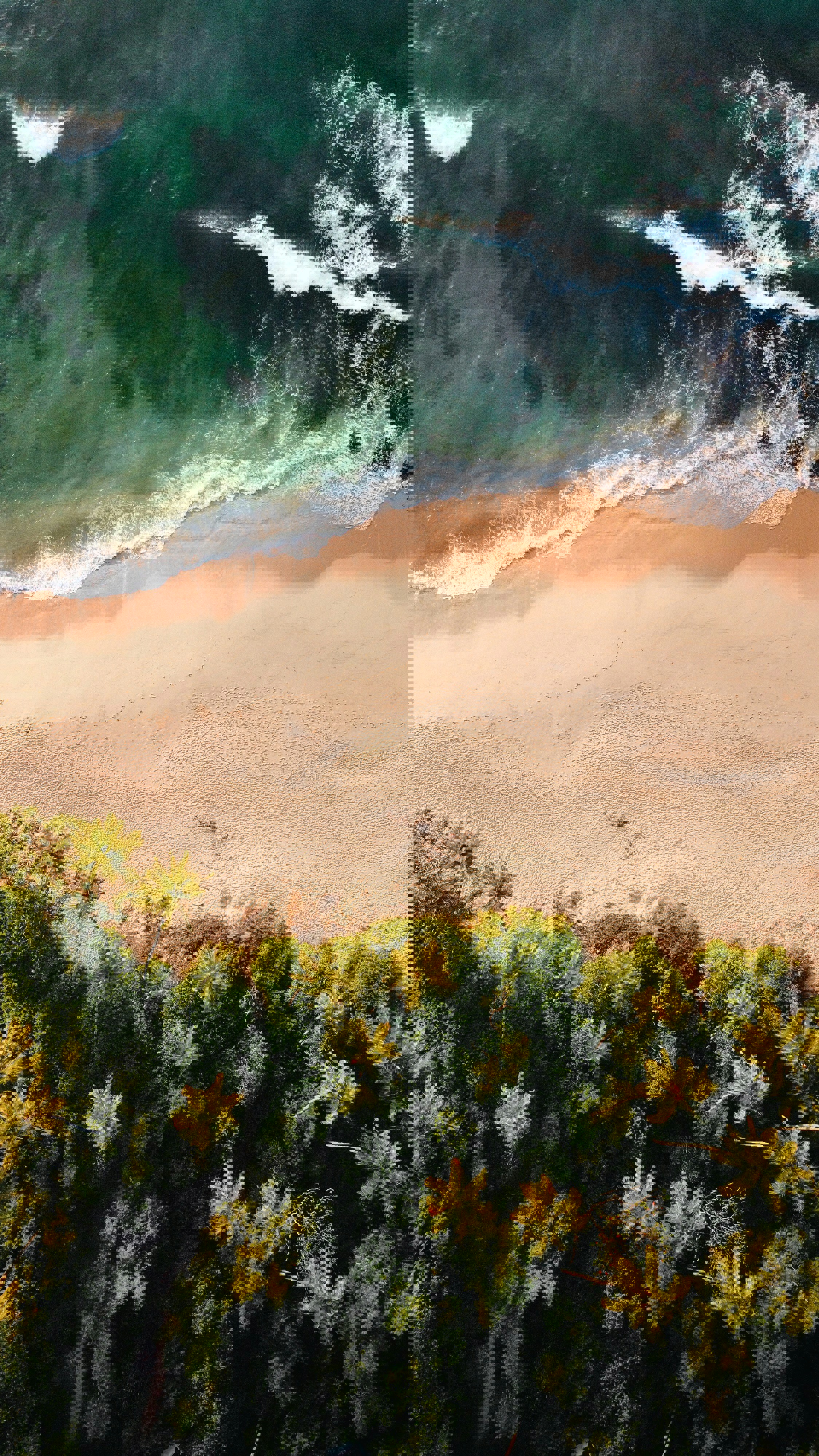 Aerial of a beach in Tangalle with lush green forest and waves