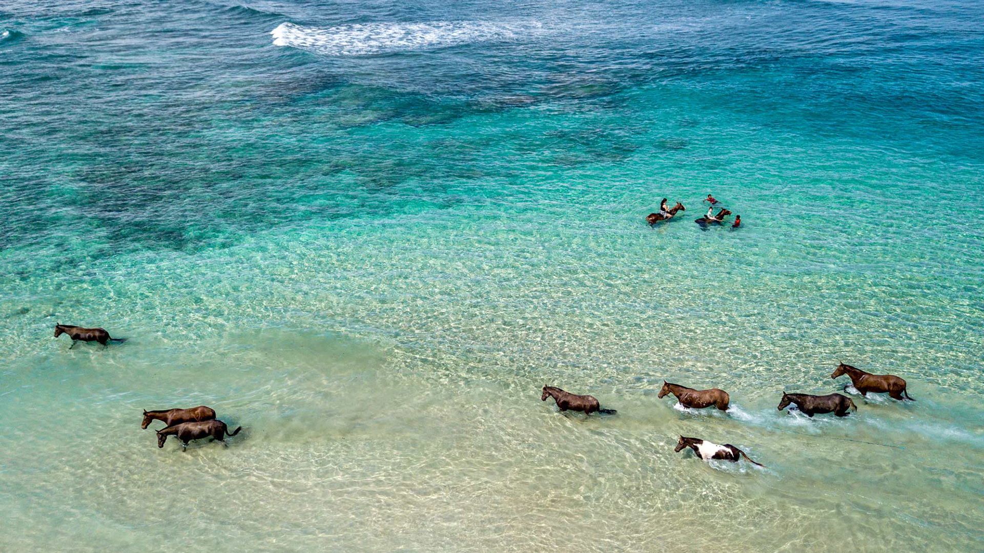  Worldwide, Indonesia, NIHI Sumba, Horses in Ocean