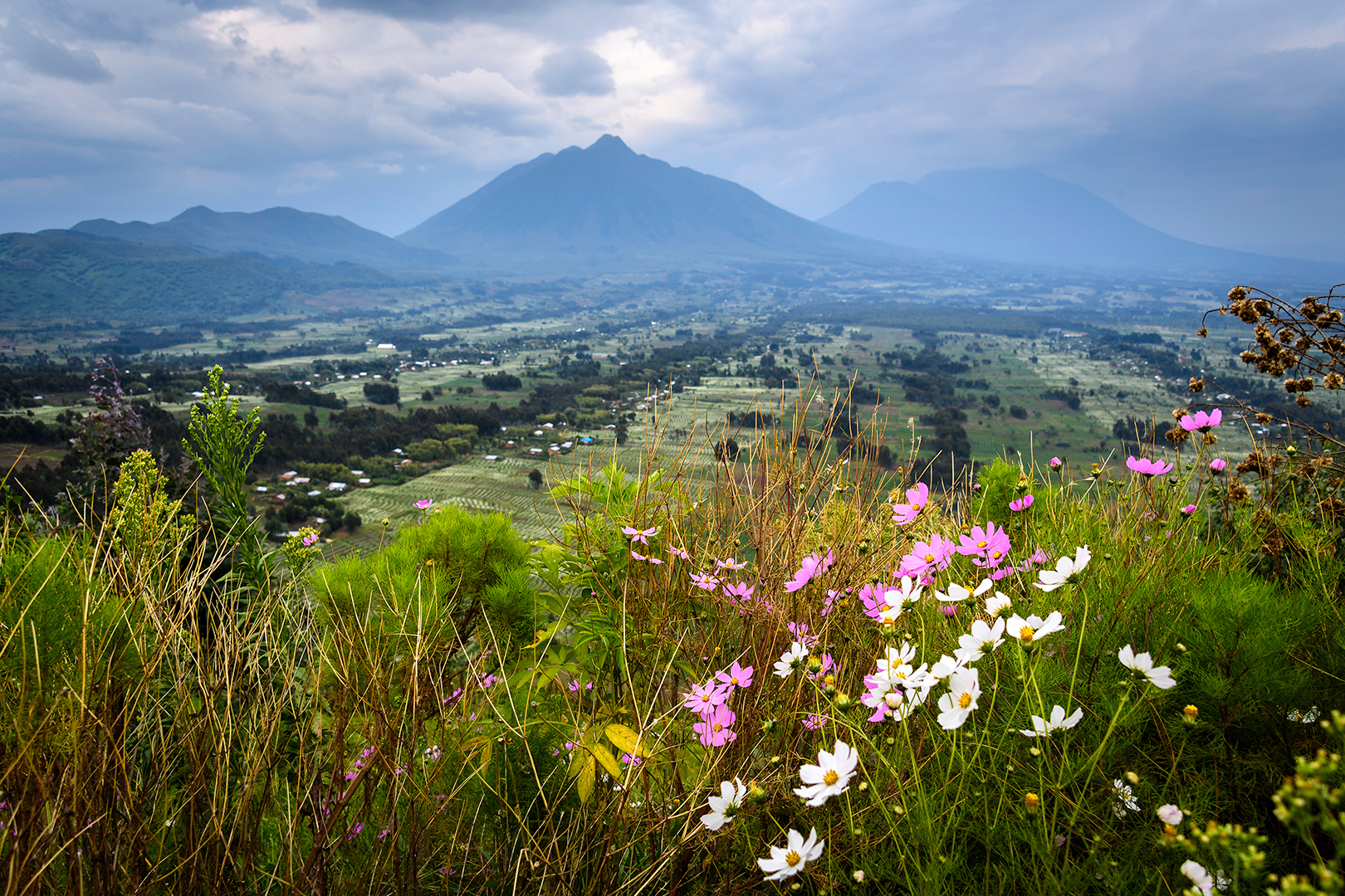  Bisate Lodge in Rwanda, Luxury Lodge in Africa, Bisate Volcanoes National Park