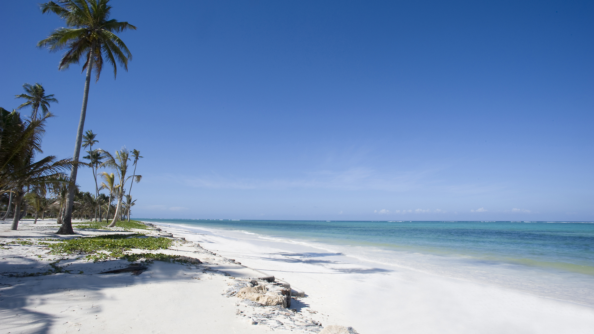  Africa, Zanzibar, Baraza, Beach