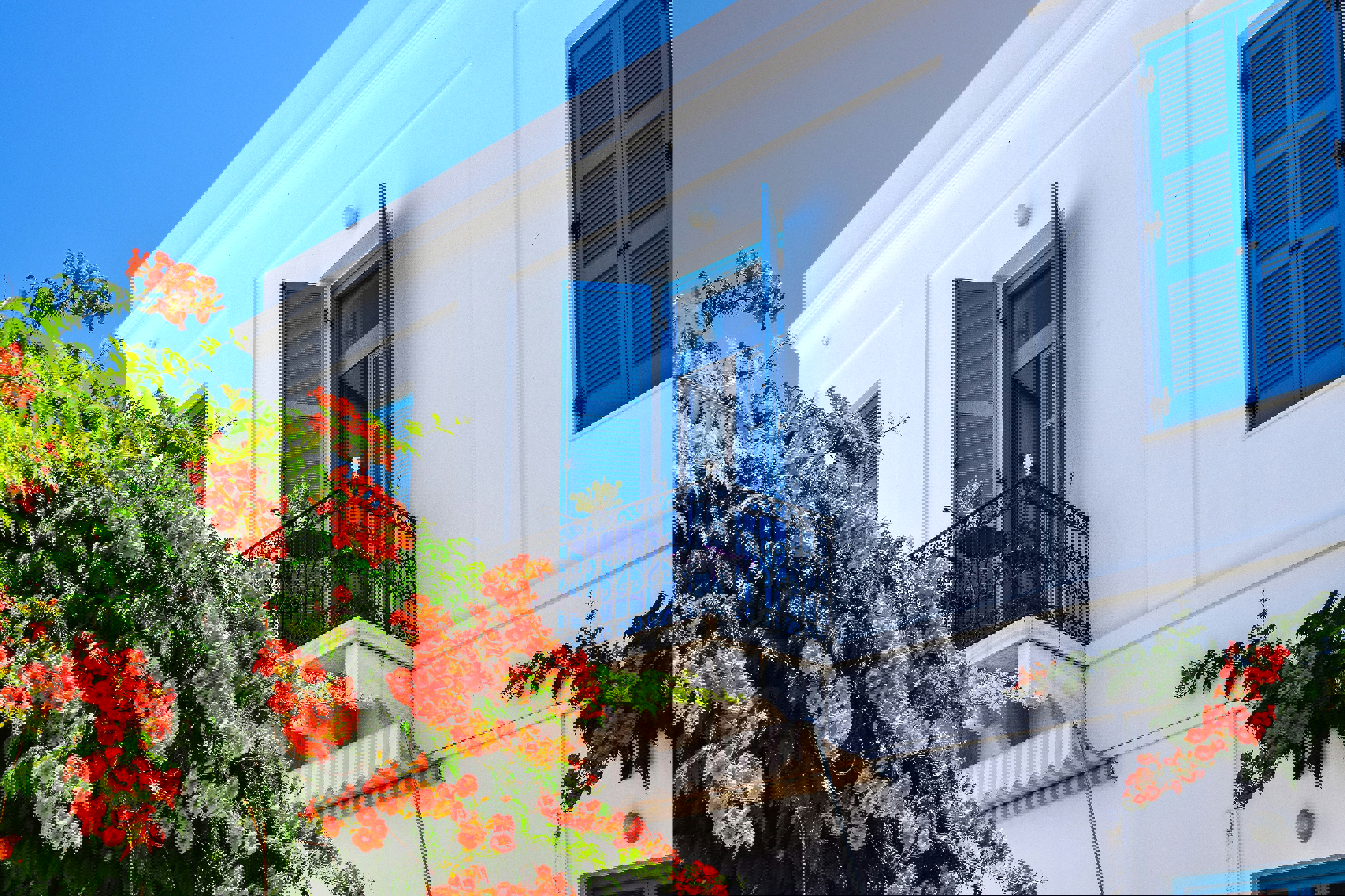 Small veranda of a white washed building in Mykonos with blue shutters and a tree with orange flowers below