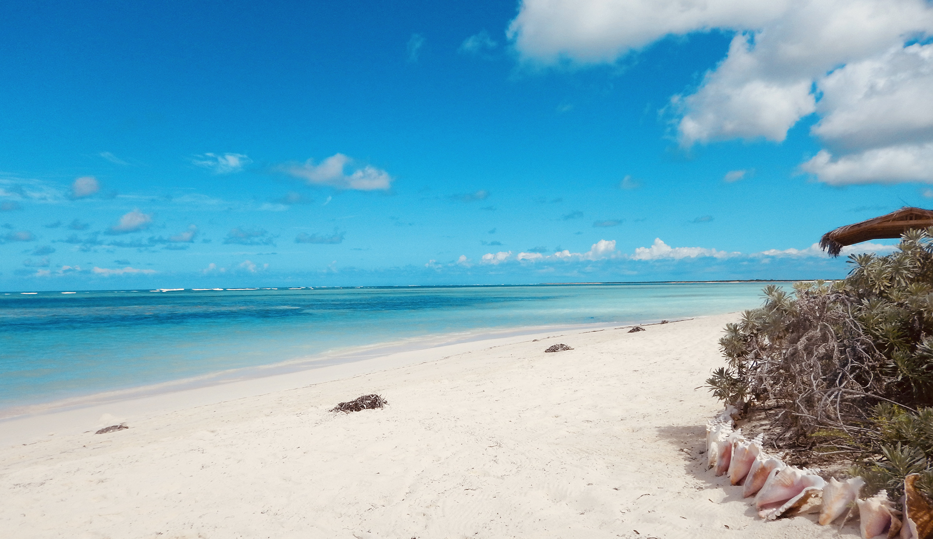 Caribbean & Mexico, British Virgin Islands, Anegada Coral Island