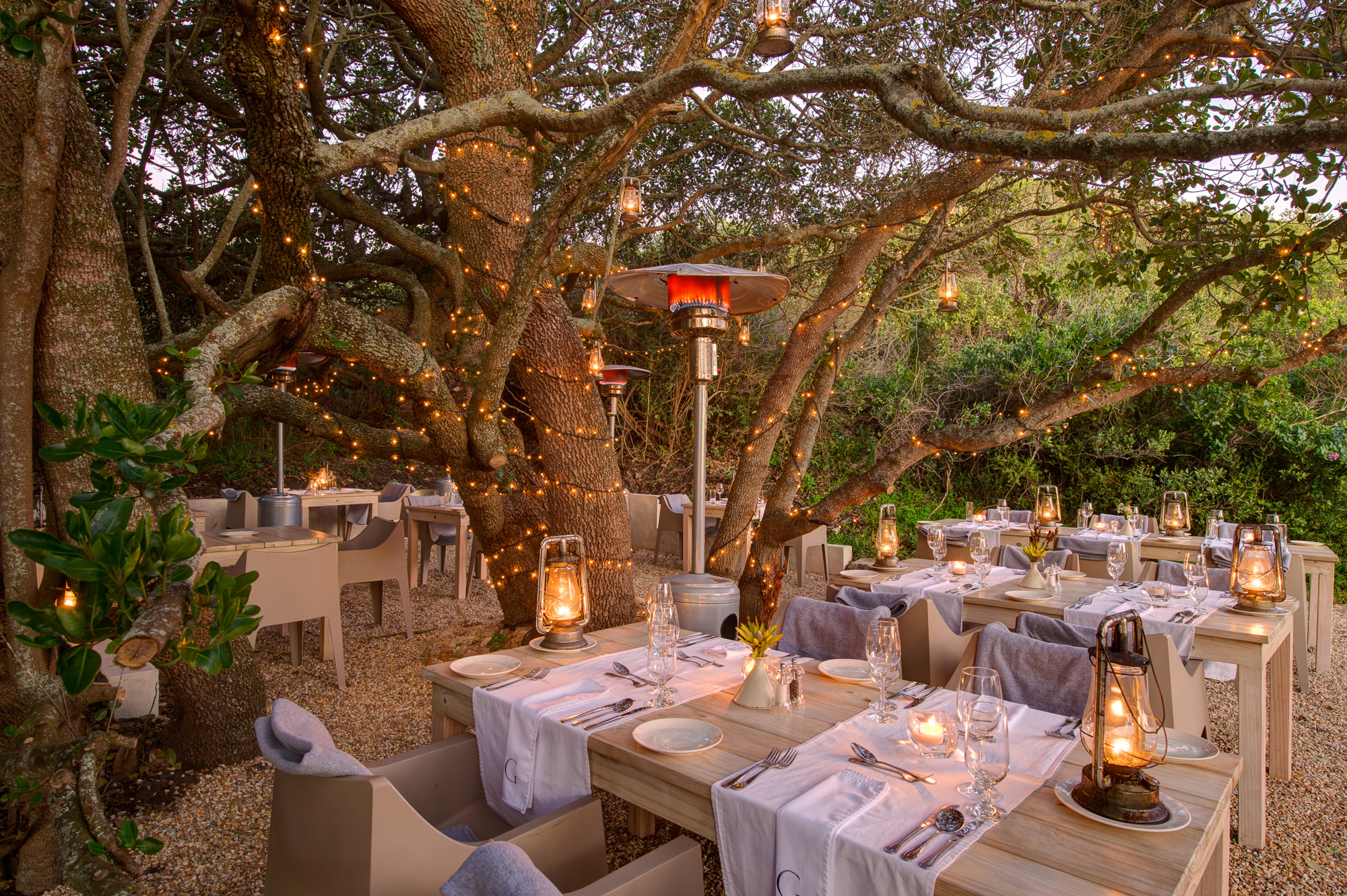 Outdoor dining by trees at Grootbos