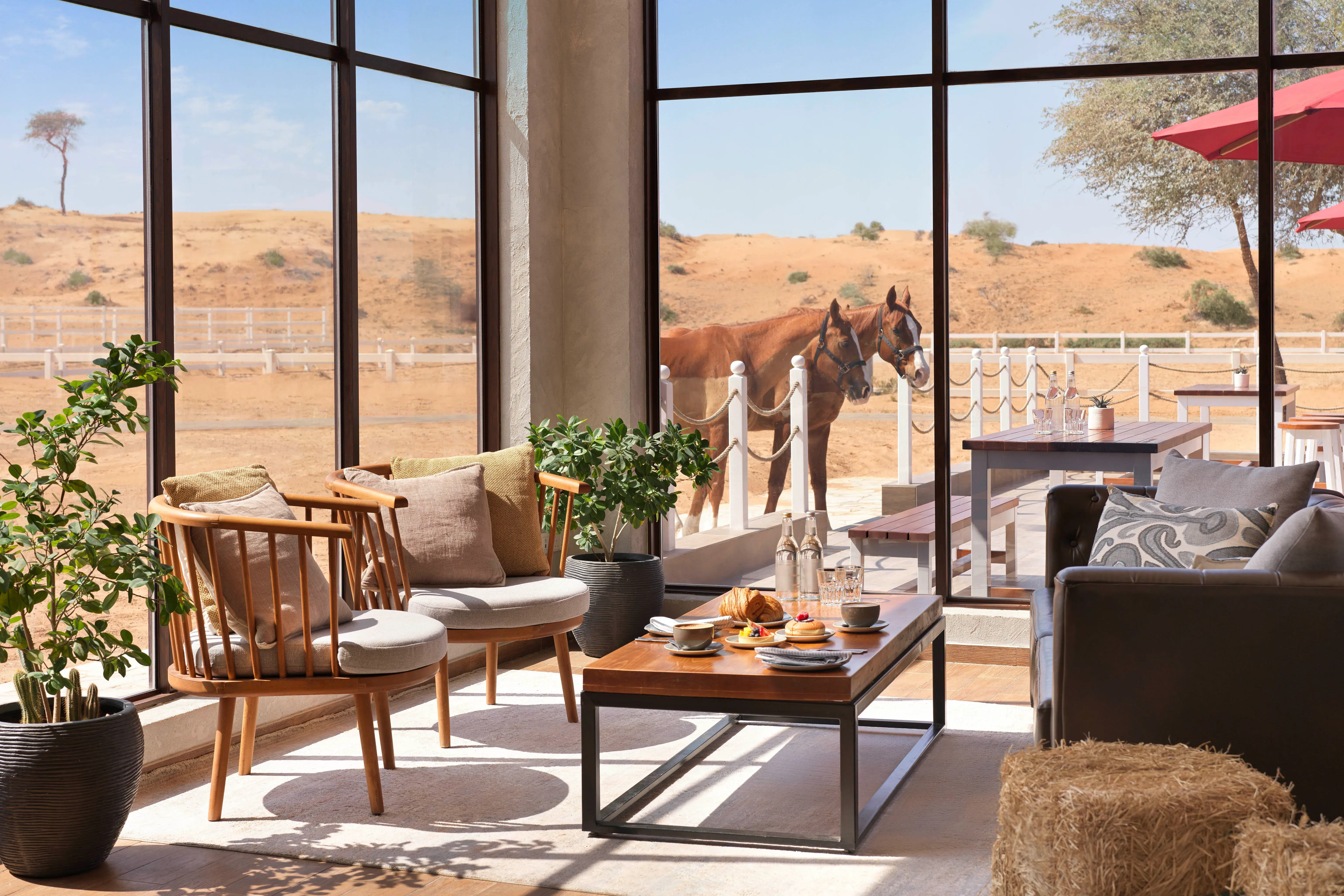 Elegant indoor seating at Ritz-Carlton Ras Al Khaimah, Al Wadi Desert with horses visible outside against scenic desert backdrop.