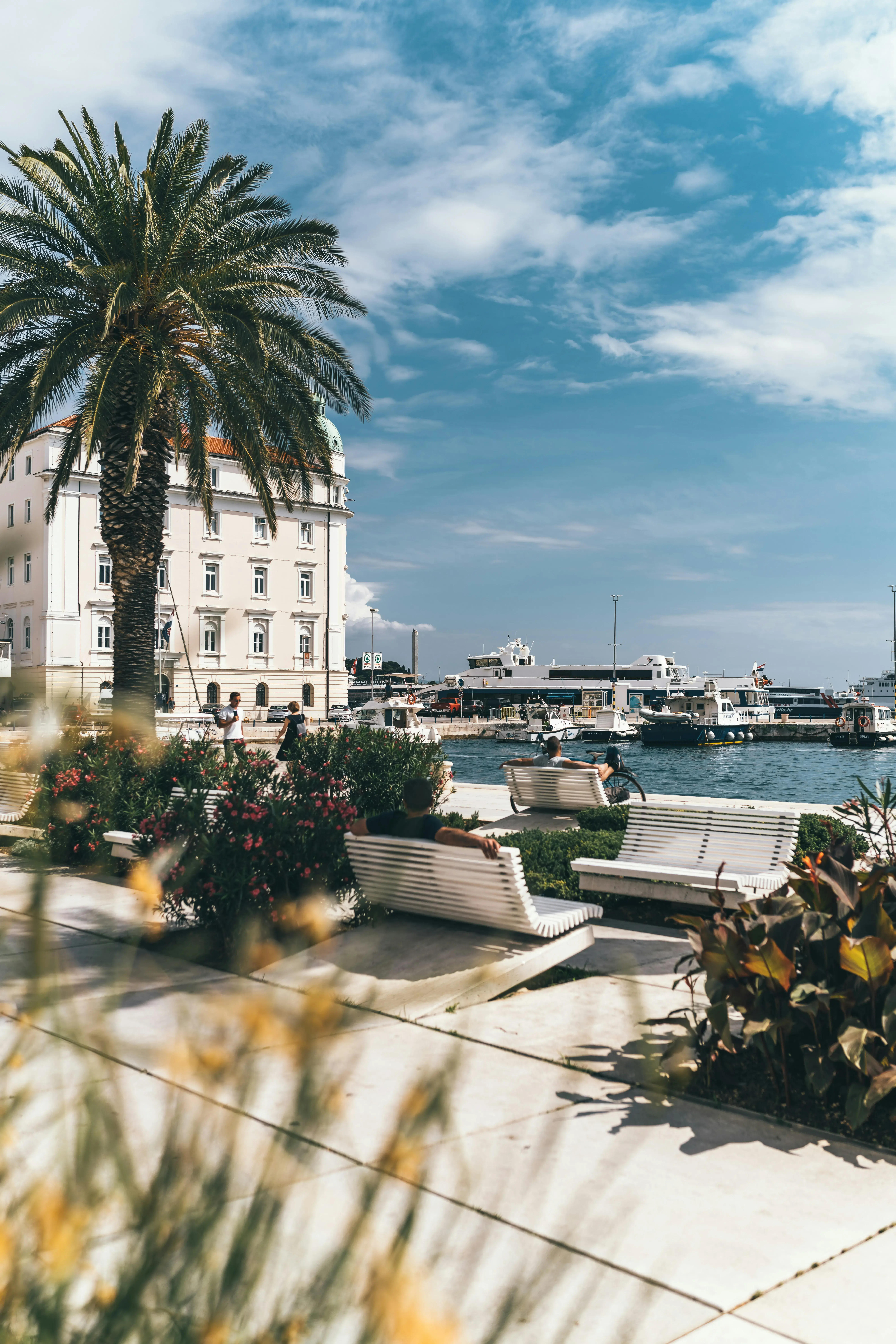 The promenade on the waterfront in Split featuring healthy plants and people sat on white benches with buildings behind